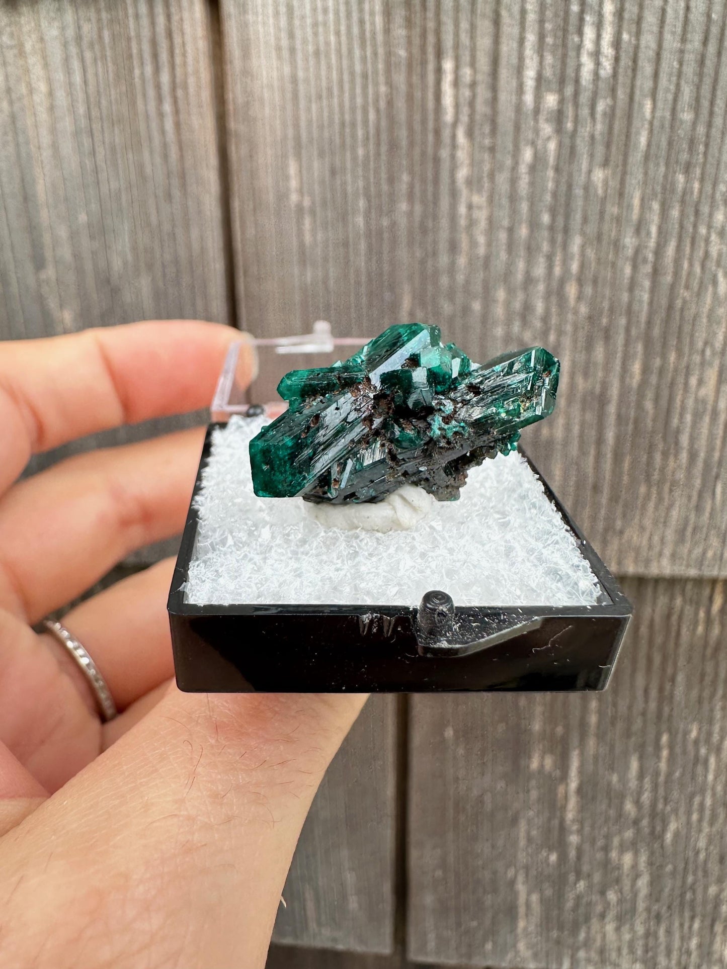 Dioptase Crystal Cluster from Namibia