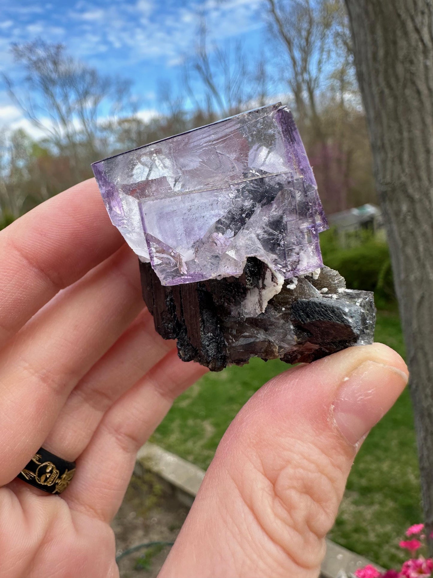 Yaogangxian Fluorite with Ferberite from China