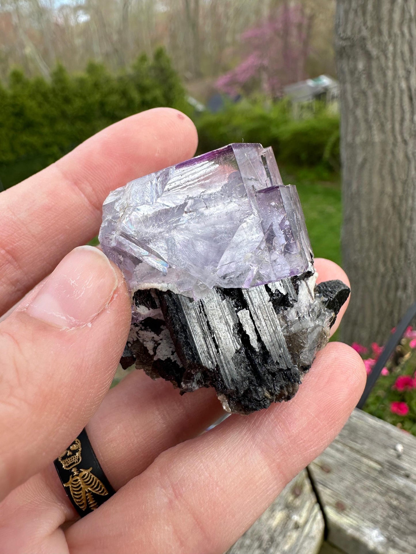 Yaogangxian Fluorite with Ferberite from China