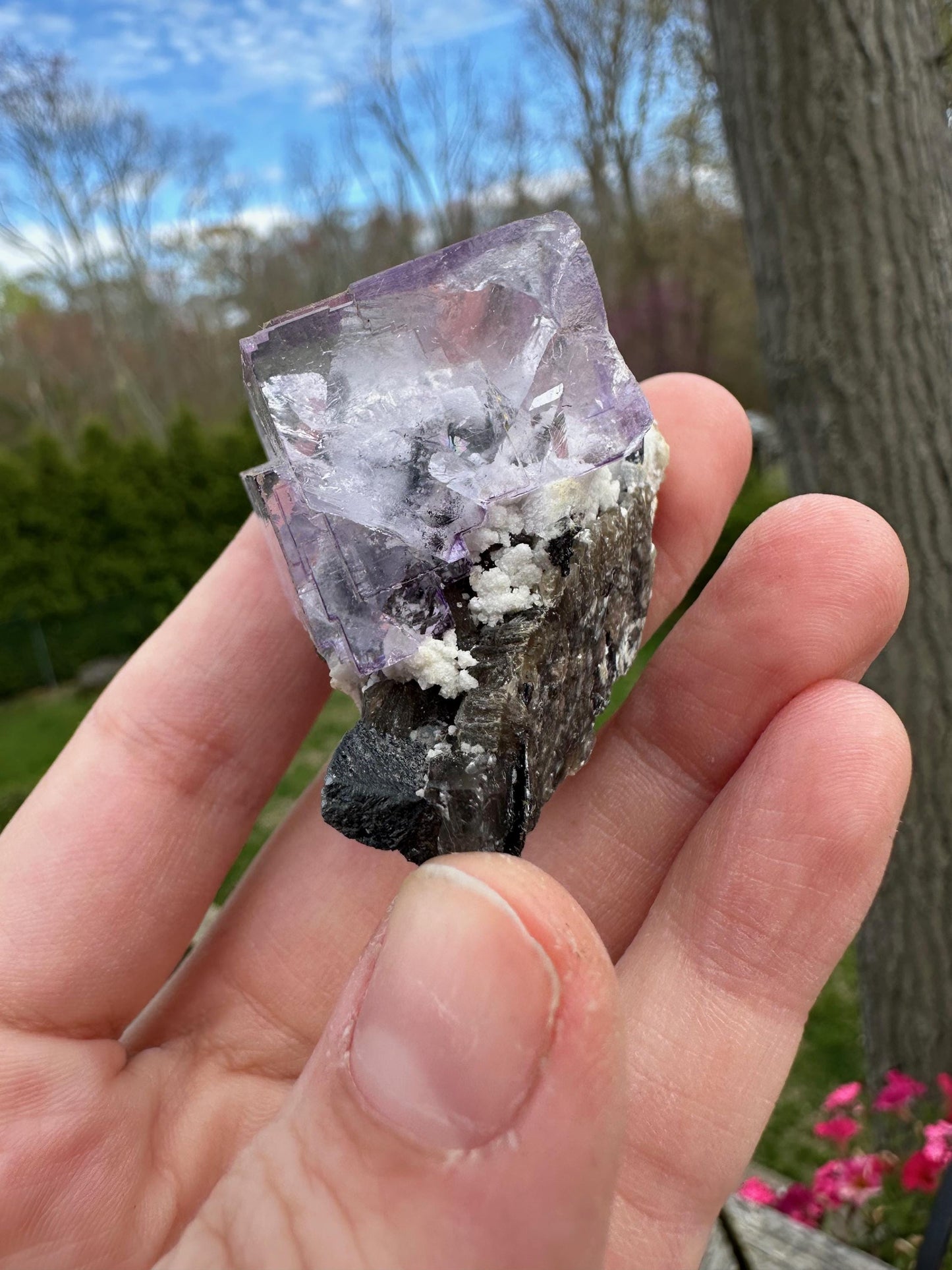 Yaogangxian Fluorite with Ferberite from China
