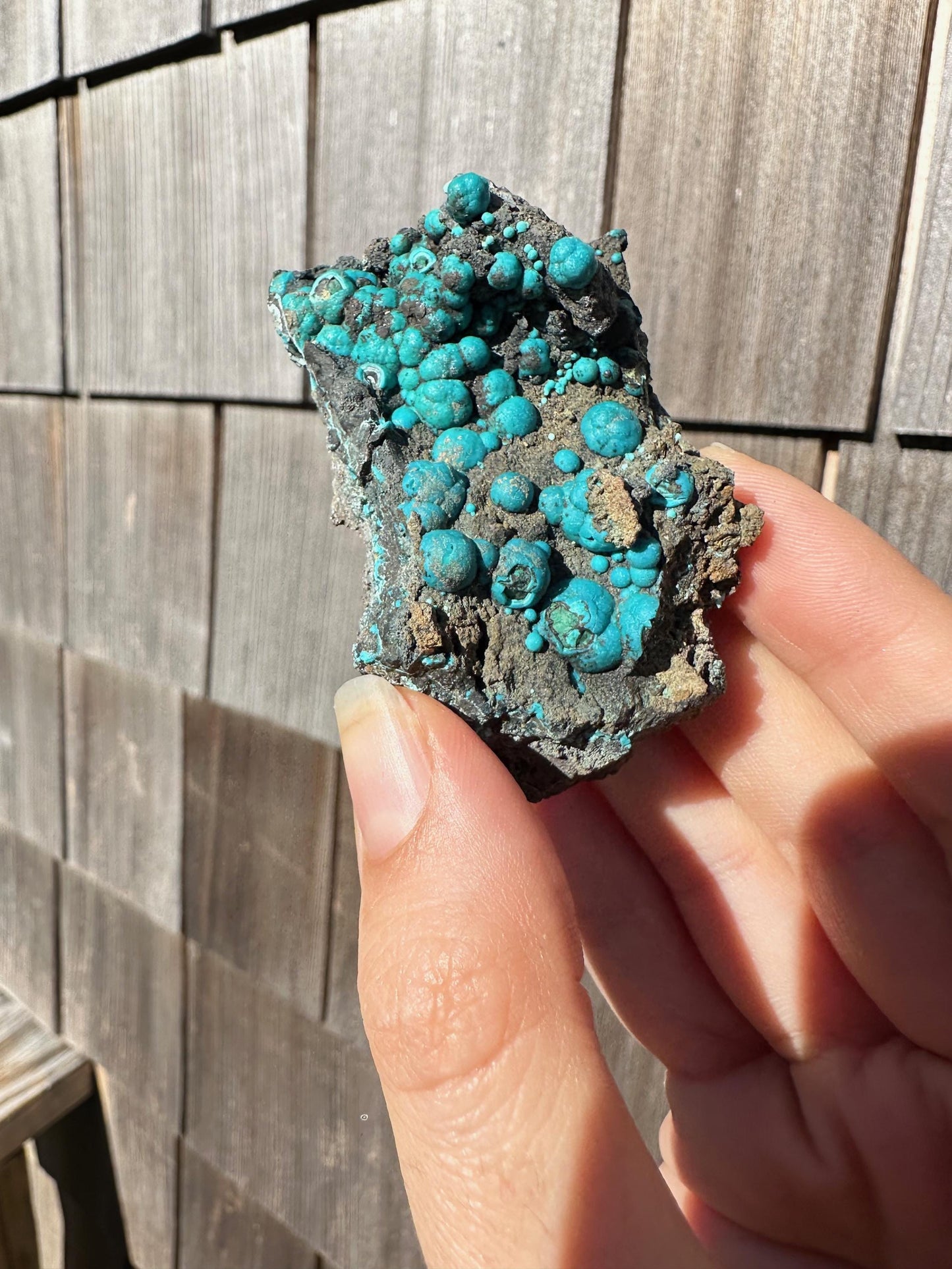 Chrysocolla on Matrix from Planet Mine Arizona USA