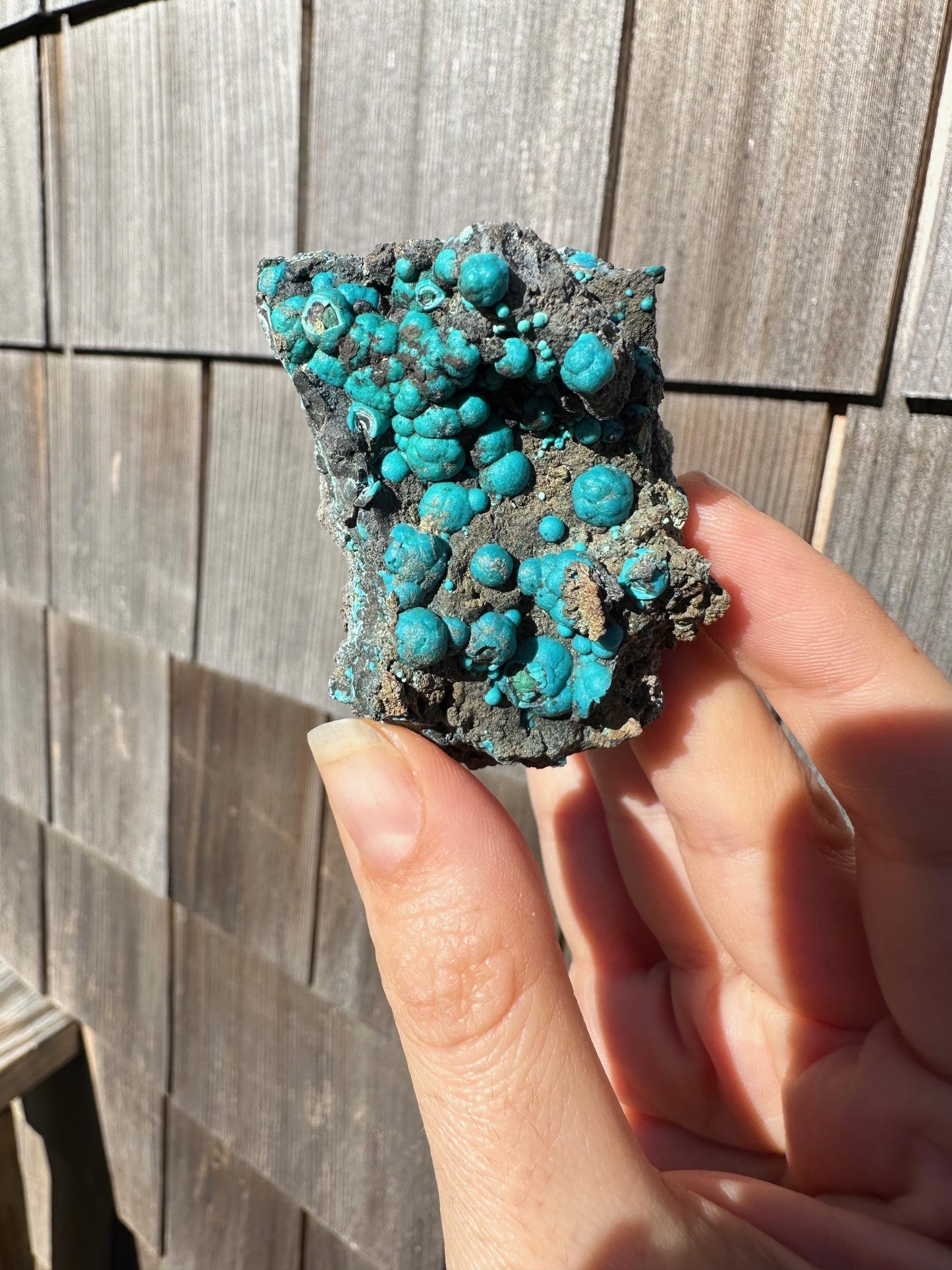 Chrysocolla on Matrix from Planet Mine Arizona USA