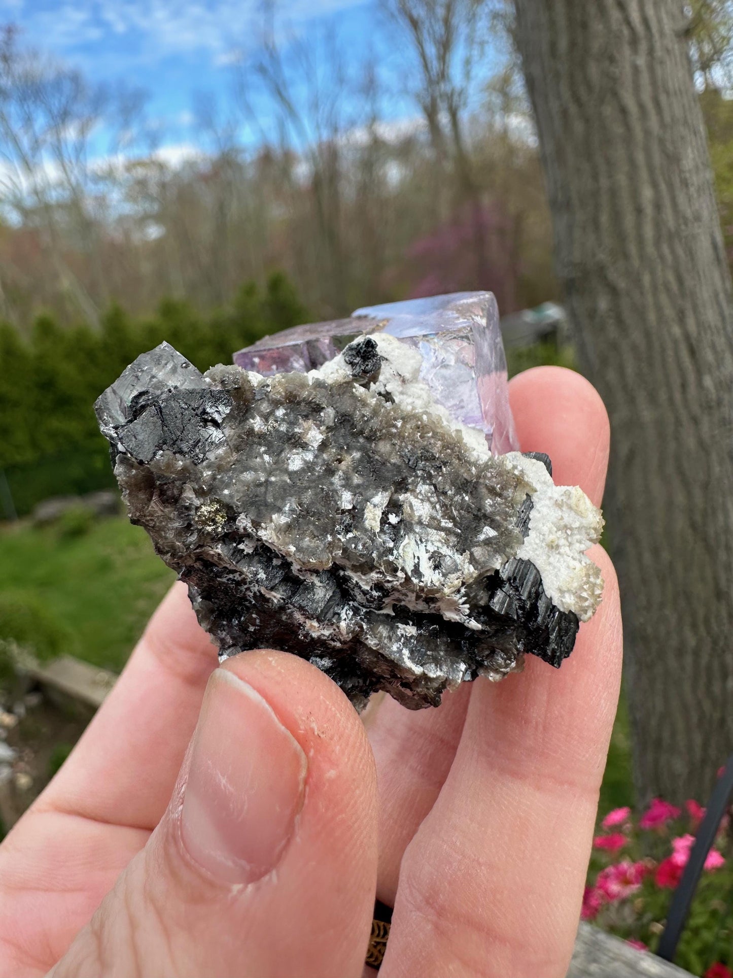 Yaogangxian Fluorite with Ferberite from China