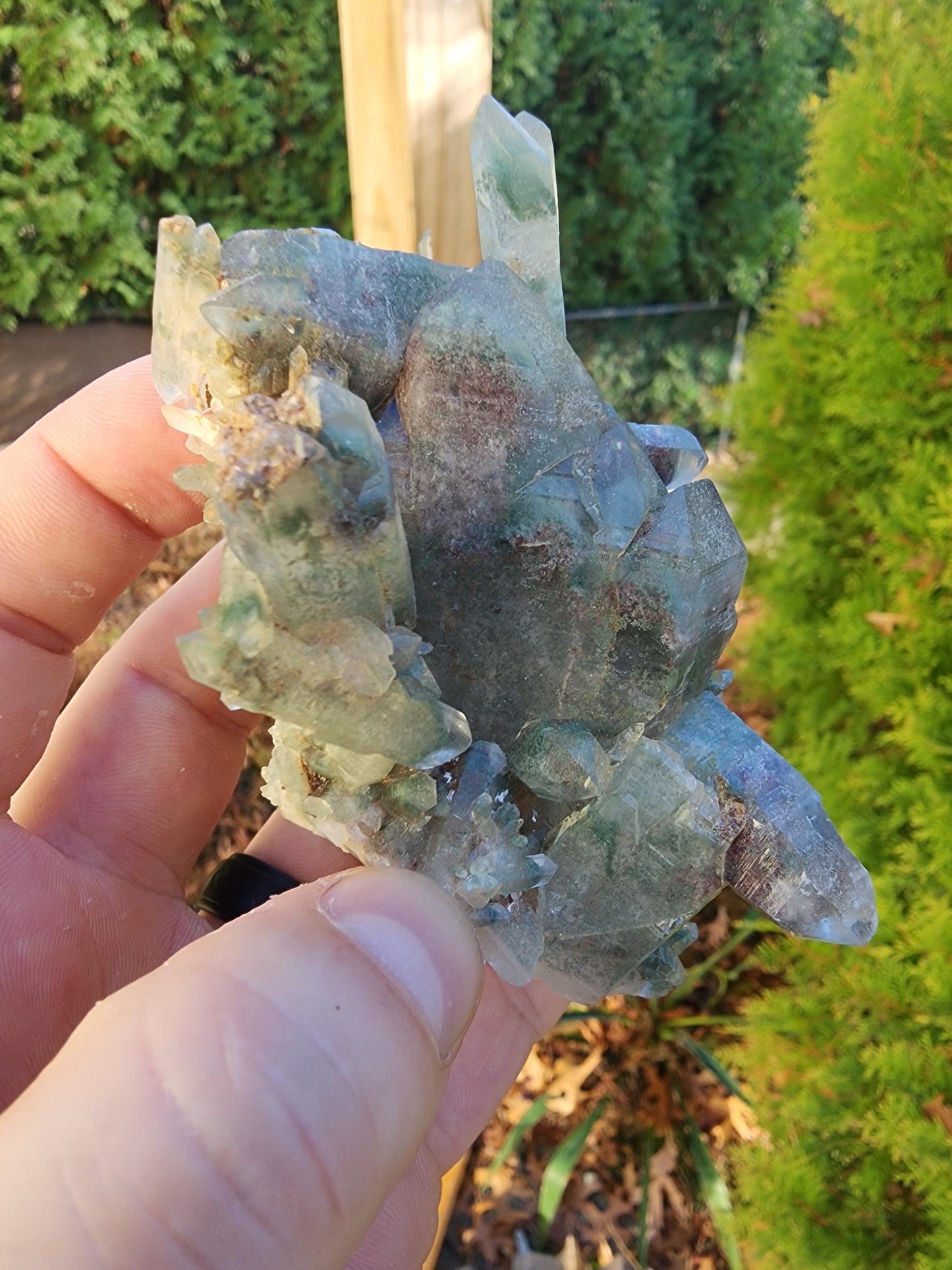 Himalayan Phantom Quartz Cluster Kullu Valley, India