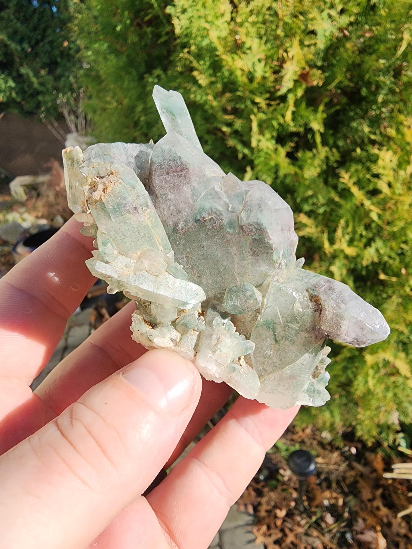 Himalayan Phantom Quartz Cluster Kullu Valley, India