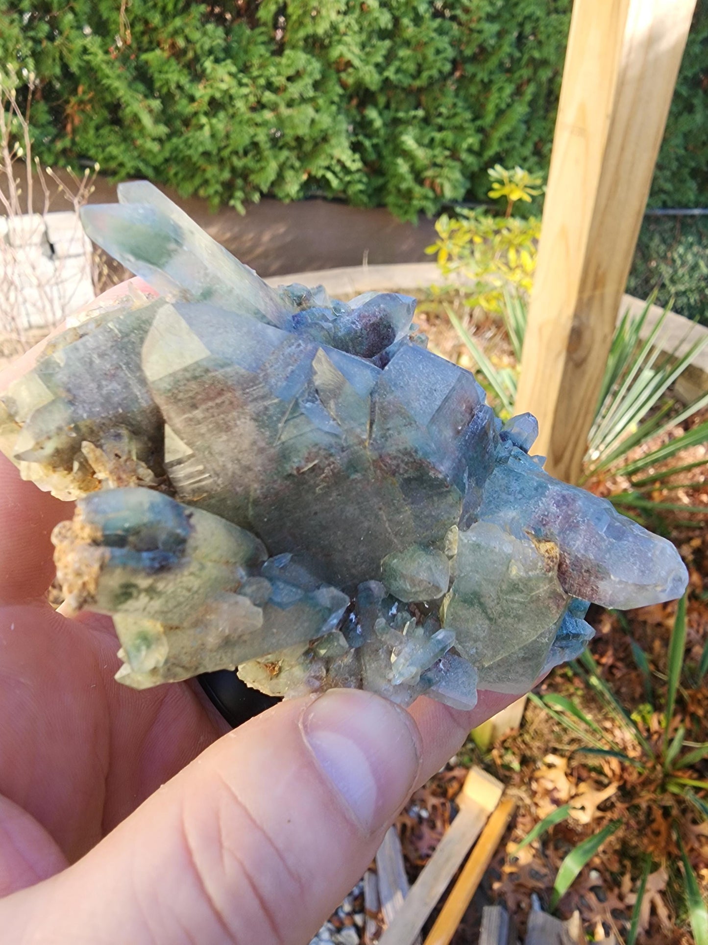 Himalayan Phantom Quartz Cluster Kullu Valley, India
