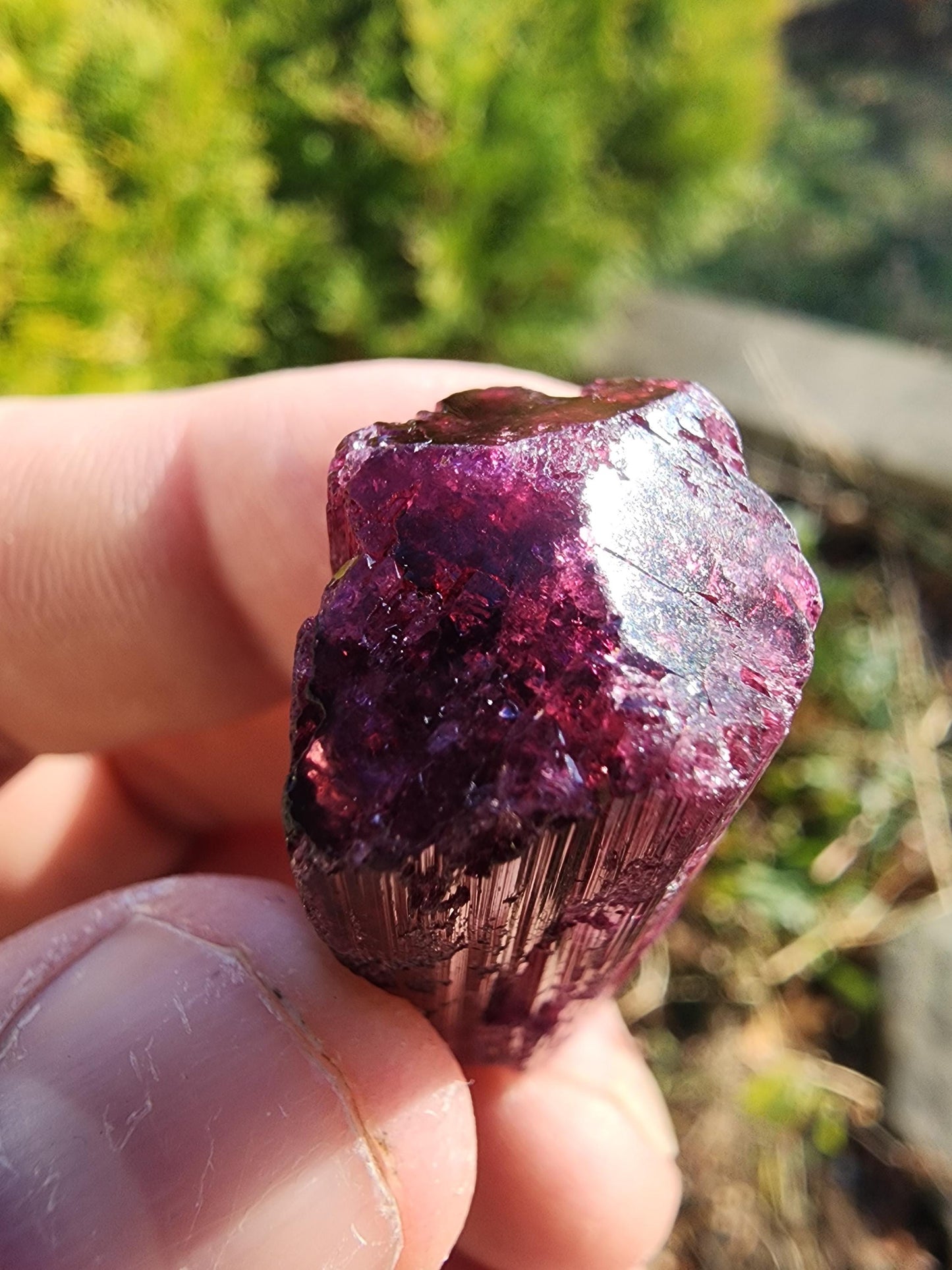 23 Grams Cruzerio Mine Rubellite Tourmaline Crystal from Brazil
