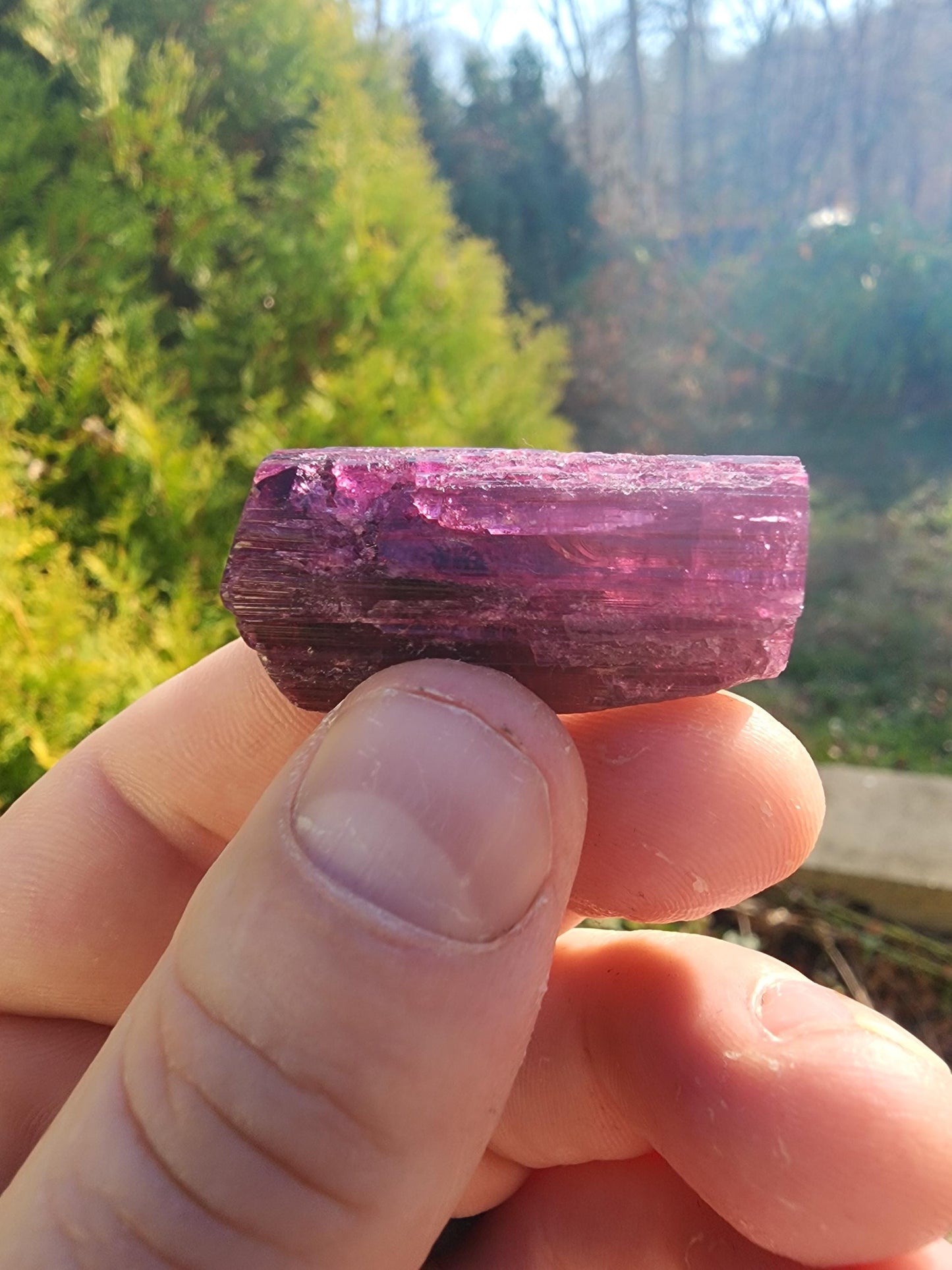 23 Grams Cruzerio Mine Rubellite Tourmaline Crystal from Brazil