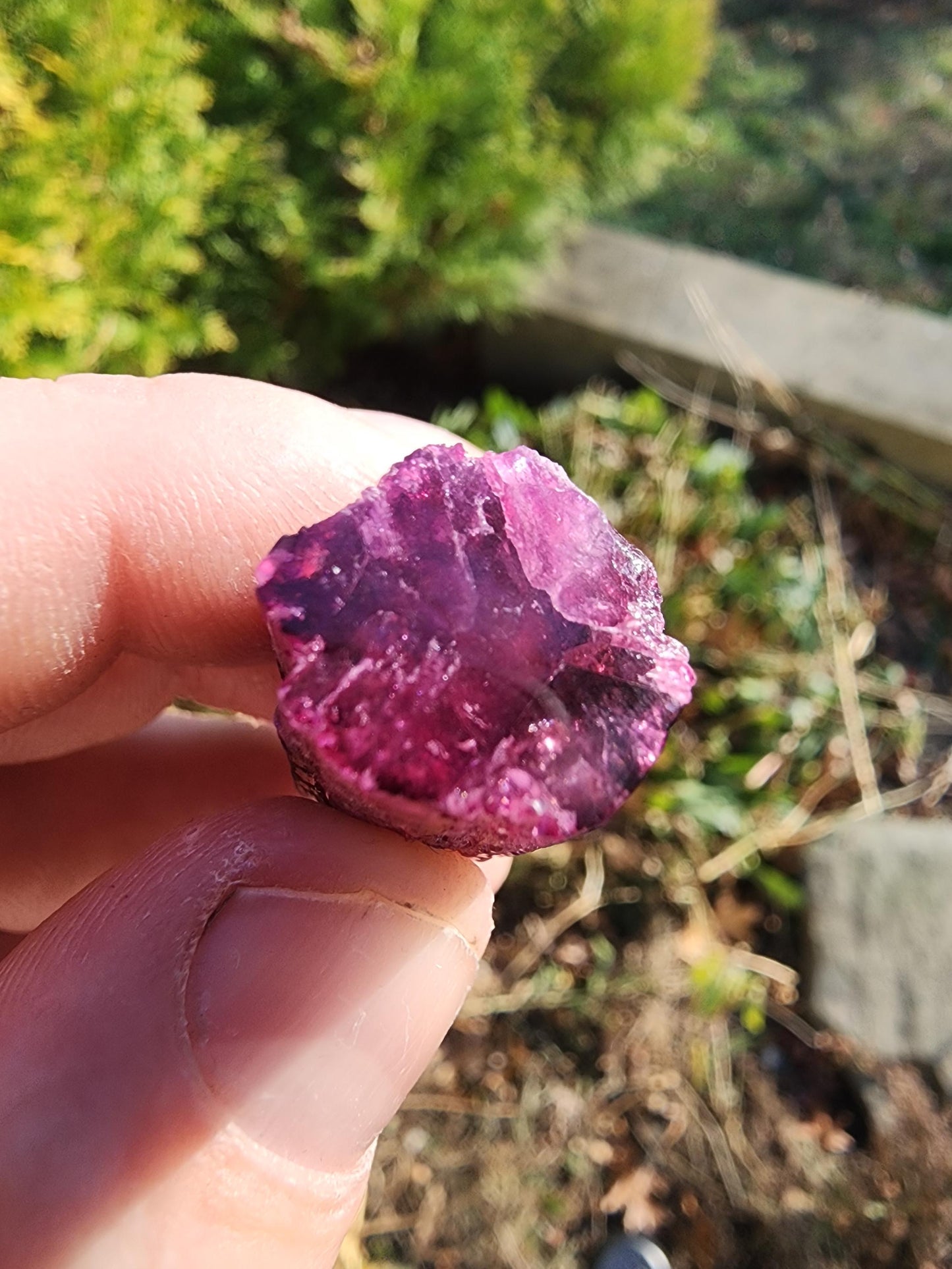 23 Grams Cruzerio Mine Rubellite Tourmaline Crystal from Brazil