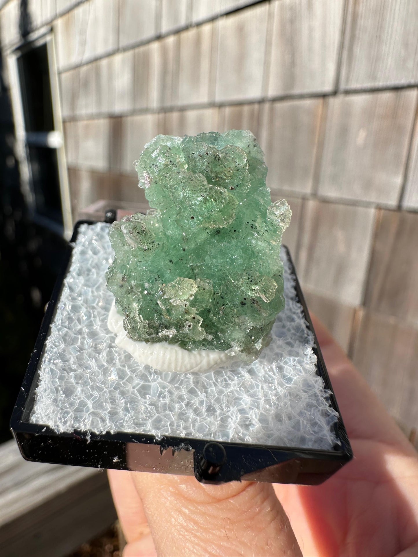 Unaweep Fluorite Crystal Cluster from Colorado