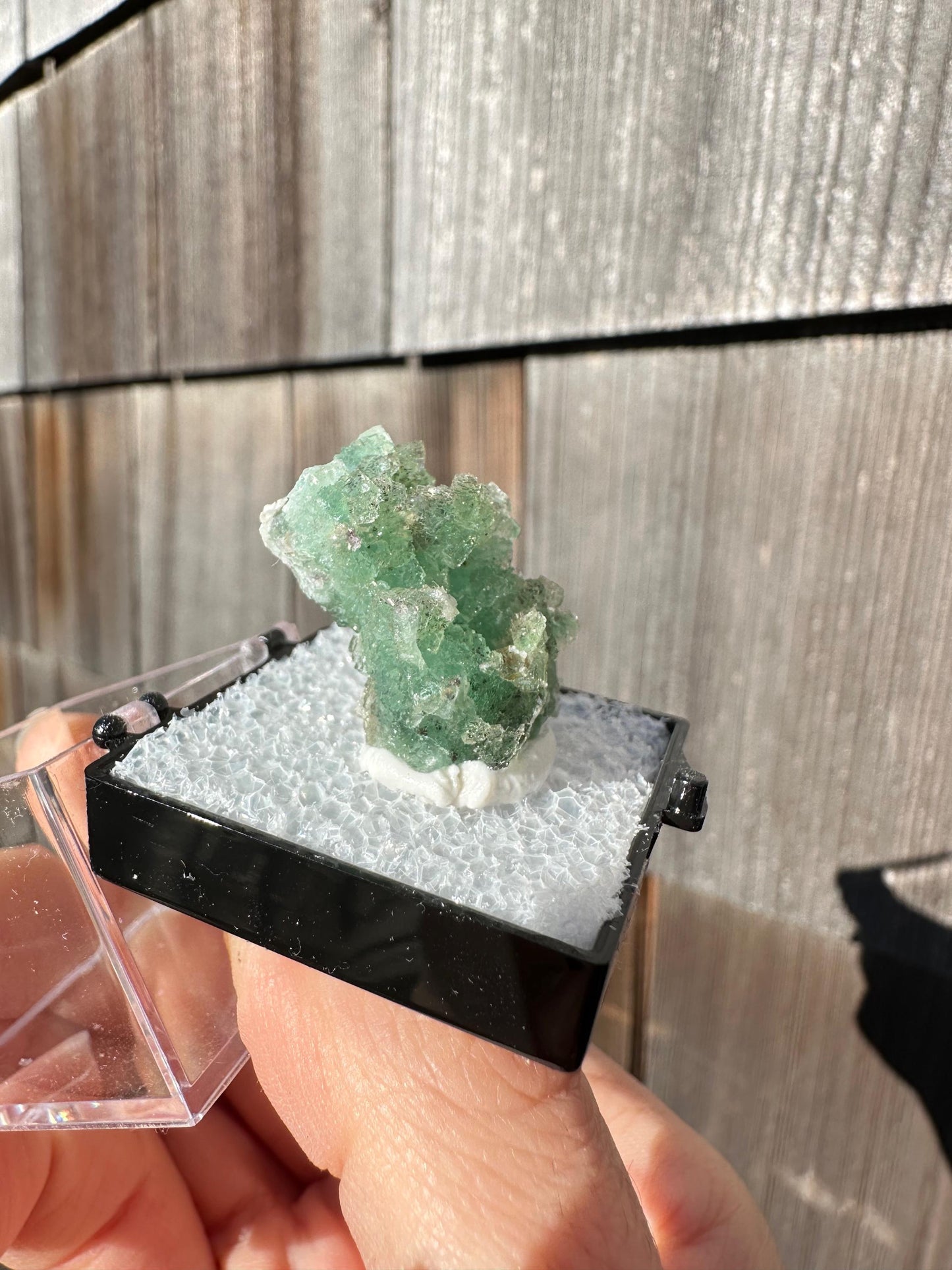 Unaweep Fluorite Crystal Cluster from Colorado