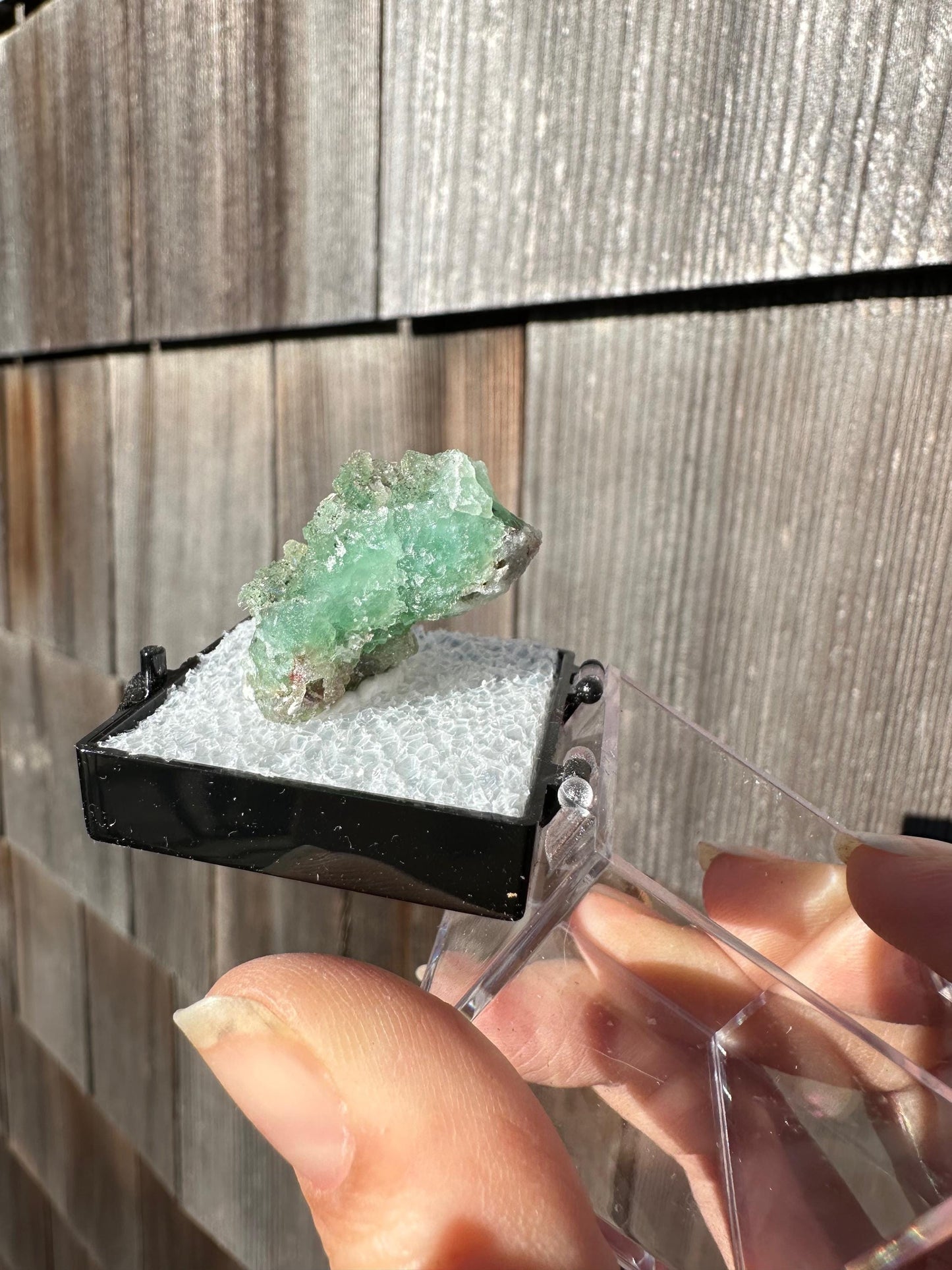Unaweep Fluorite Crystal Cluster from Colorado