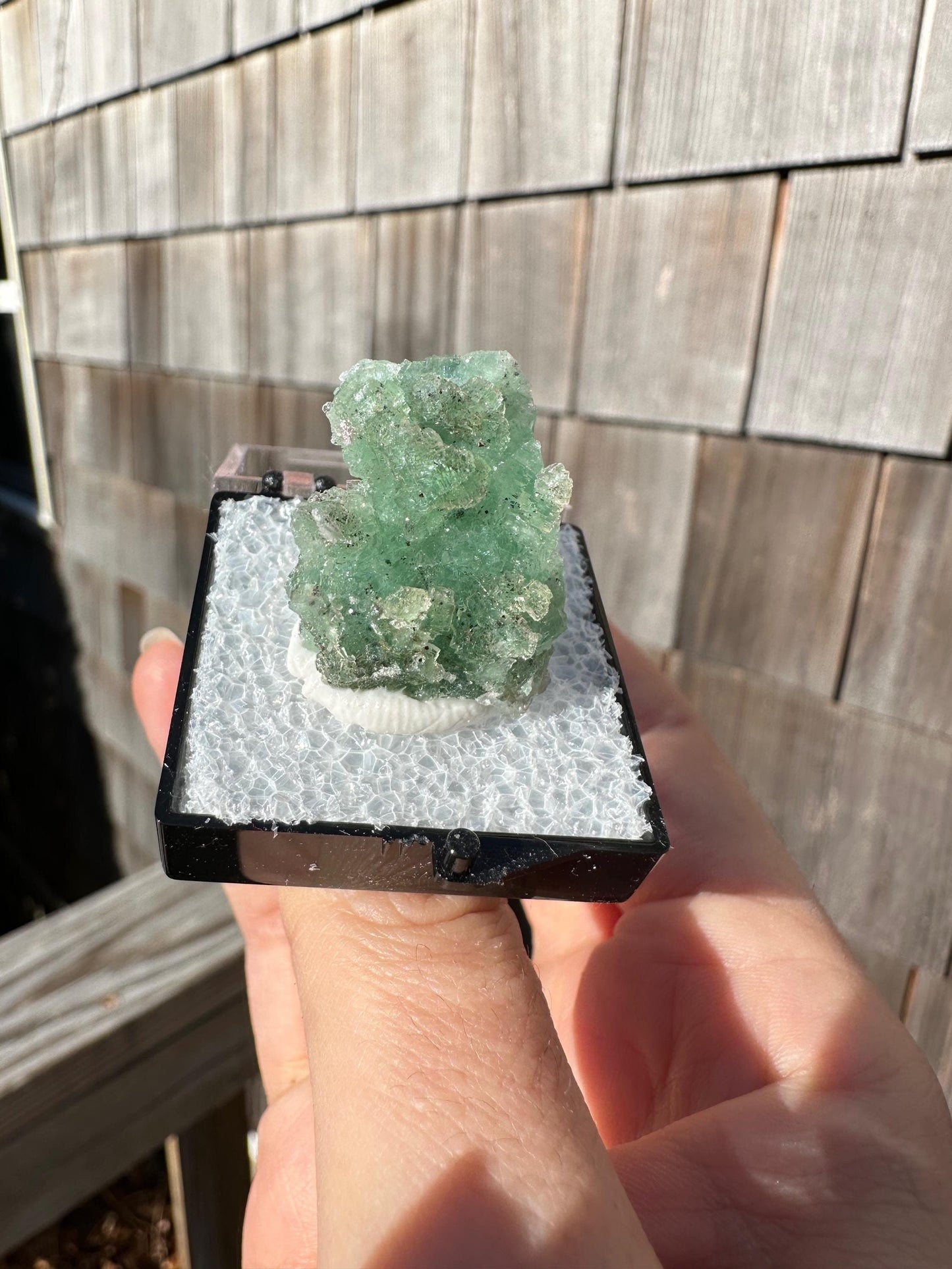 Unaweep Fluorite Crystal Cluster from Colorado