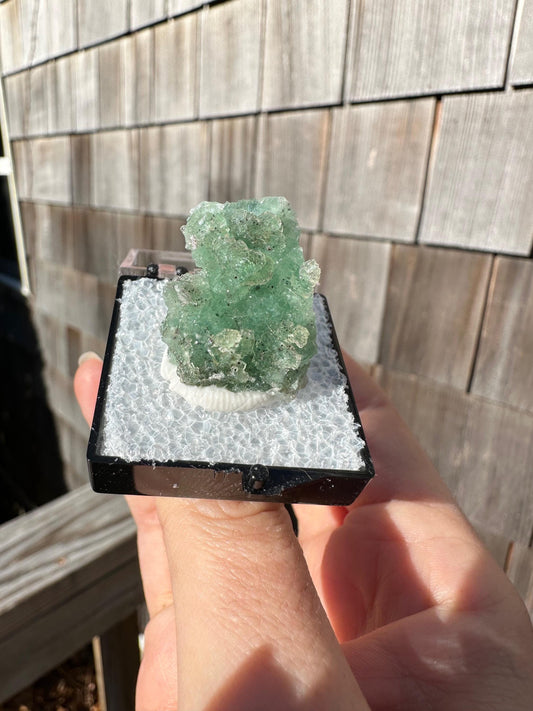 Unaweep Fluorite Crystal Cluster from Colorado