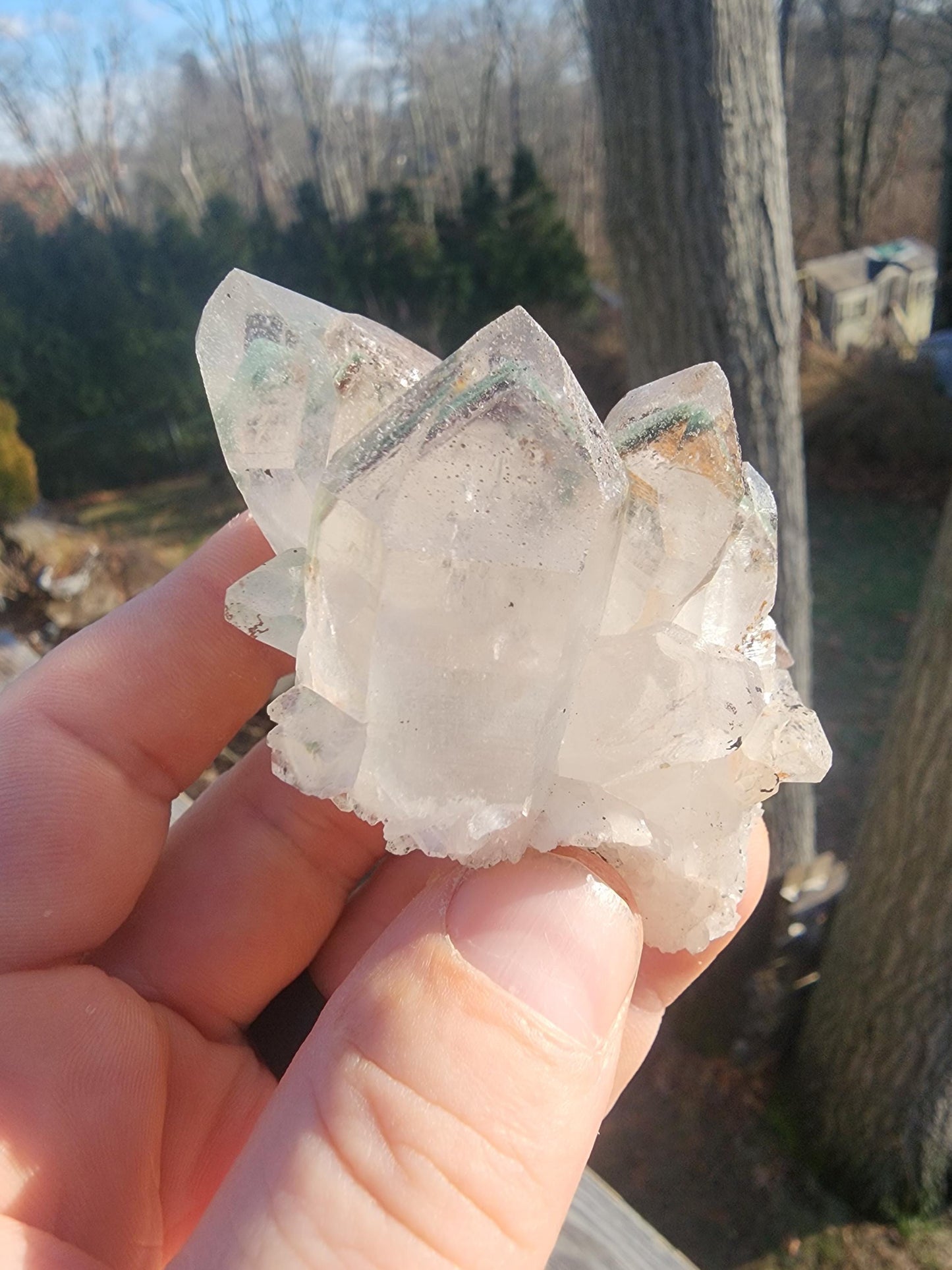 Himalayan Phantom Quartz Kullu Valley, India