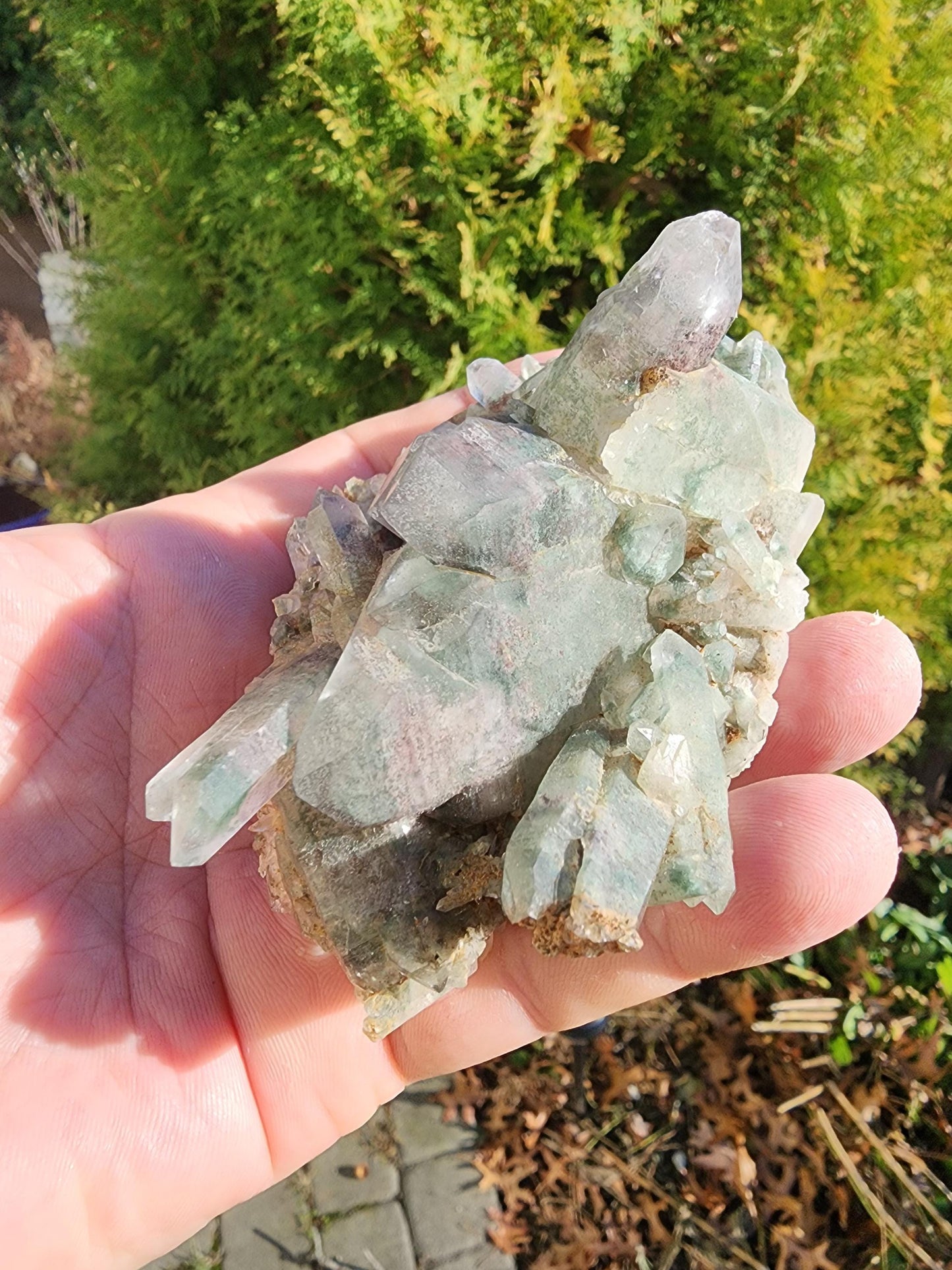Himalayan Phantom Quartz Cluster Kullu Valley, India
