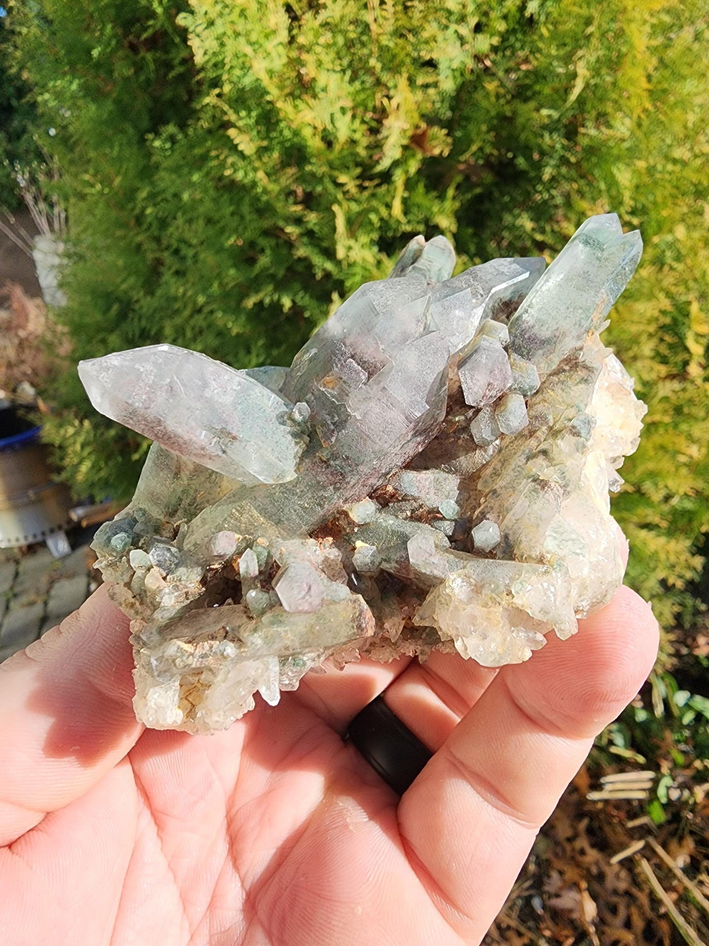 Himalayan Phantom Quartz Cluster Kullu Valley, India
