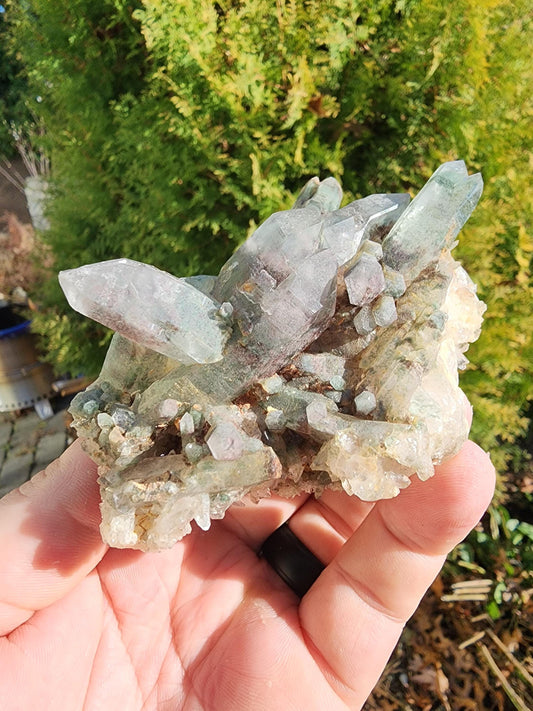 Himalayan Phantom Quartz Cluster Kullu Valley, India