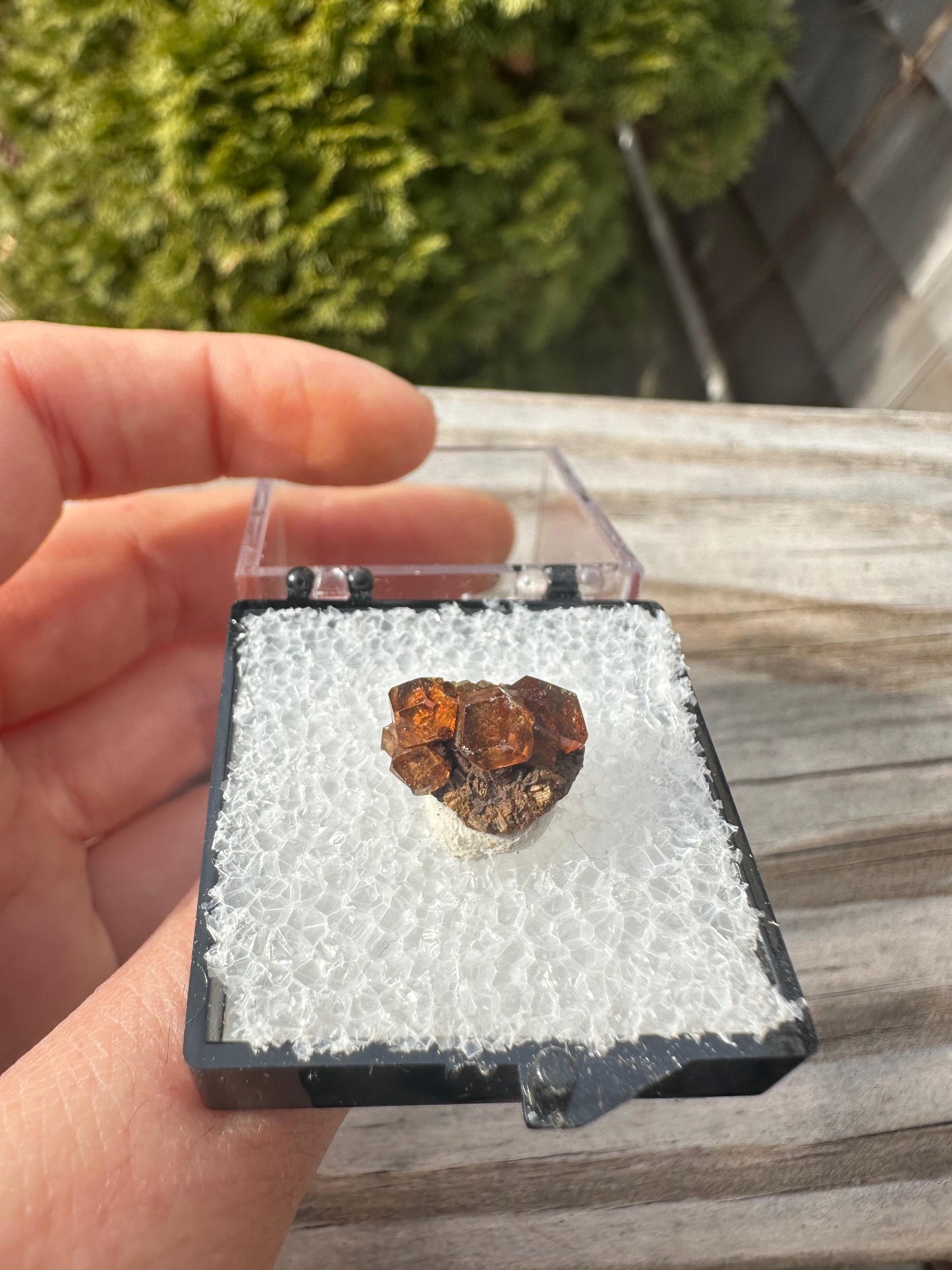 Grossular Garnet Crystals from Vesper Peak Washington USA