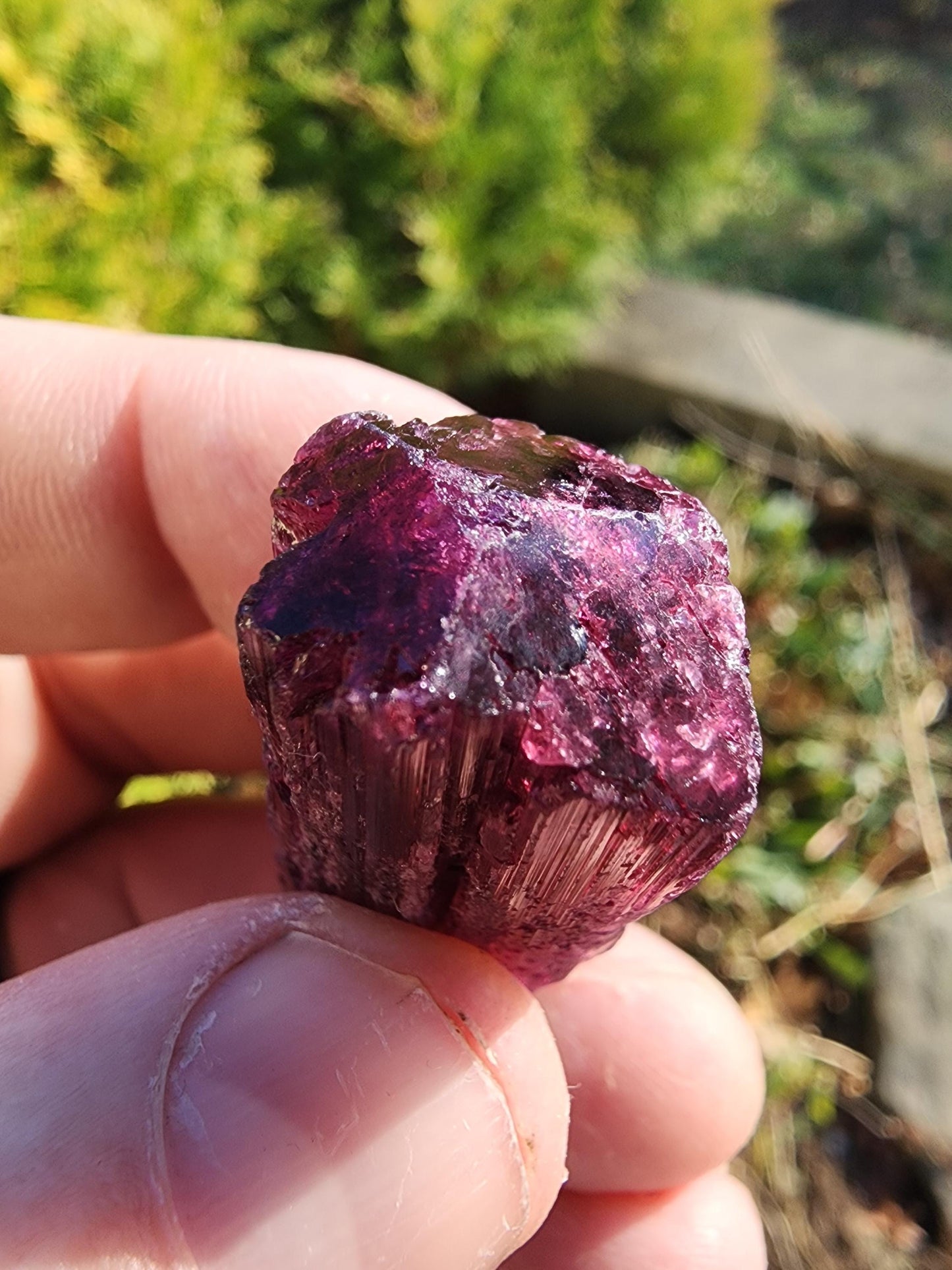23 Grams Cruzerio Mine Rubellite Tourmaline Crystal from Brazil