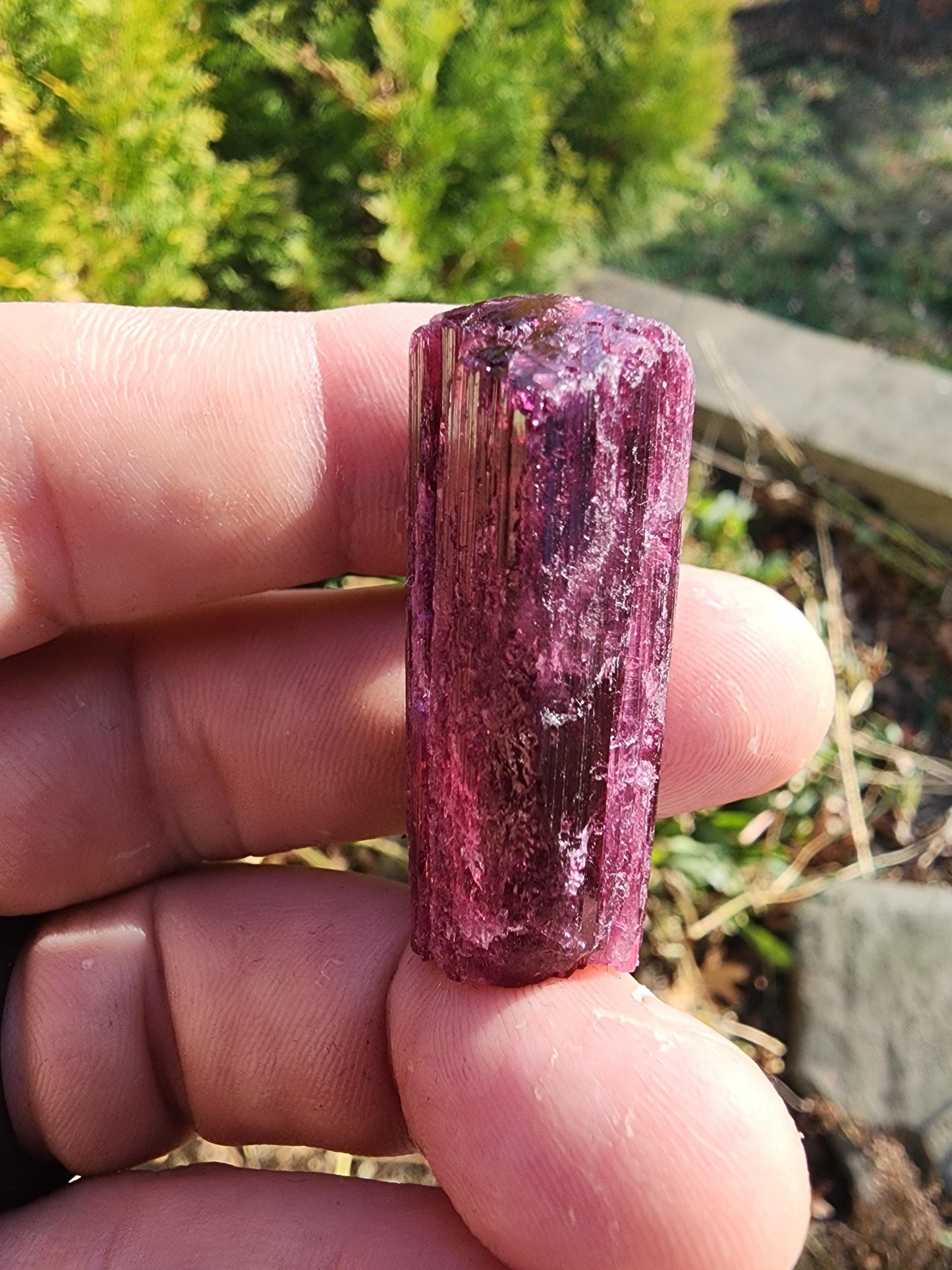 23 Grams Cruzerio Mine Rubellite Tourmaline Crystal from Brazil