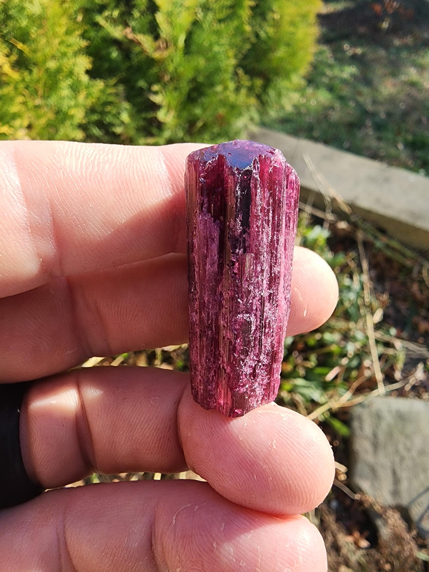 23 Grams Cruzerio Mine Rubellite Tourmaline Crystal from Brazil