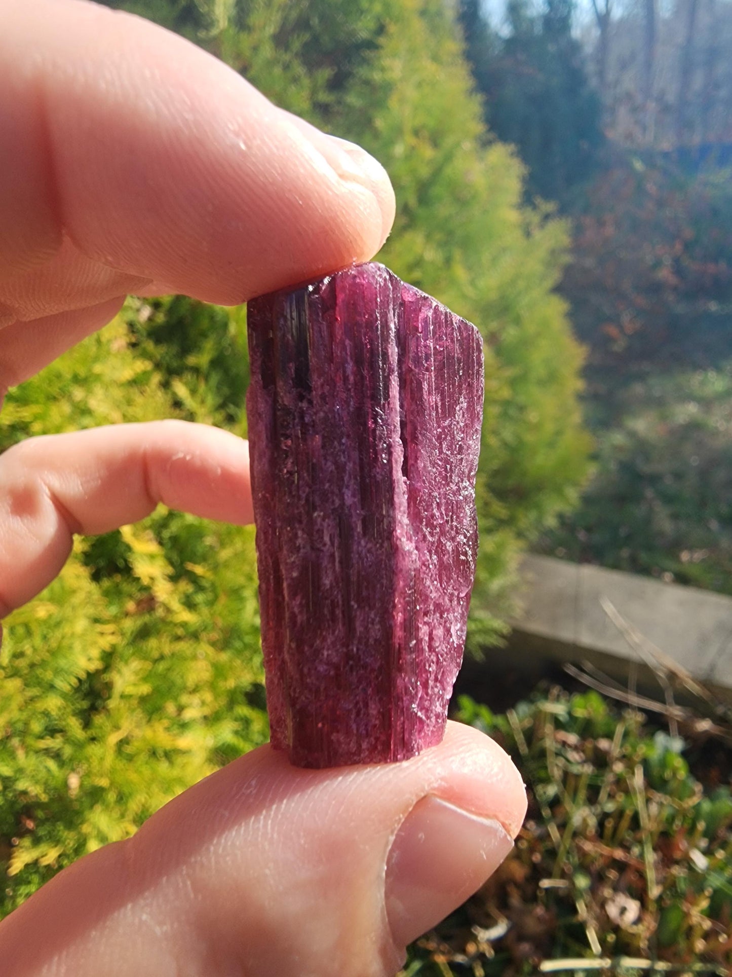 23 Grams Cruzerio Mine Rubellite Tourmaline Crystal from Brazil