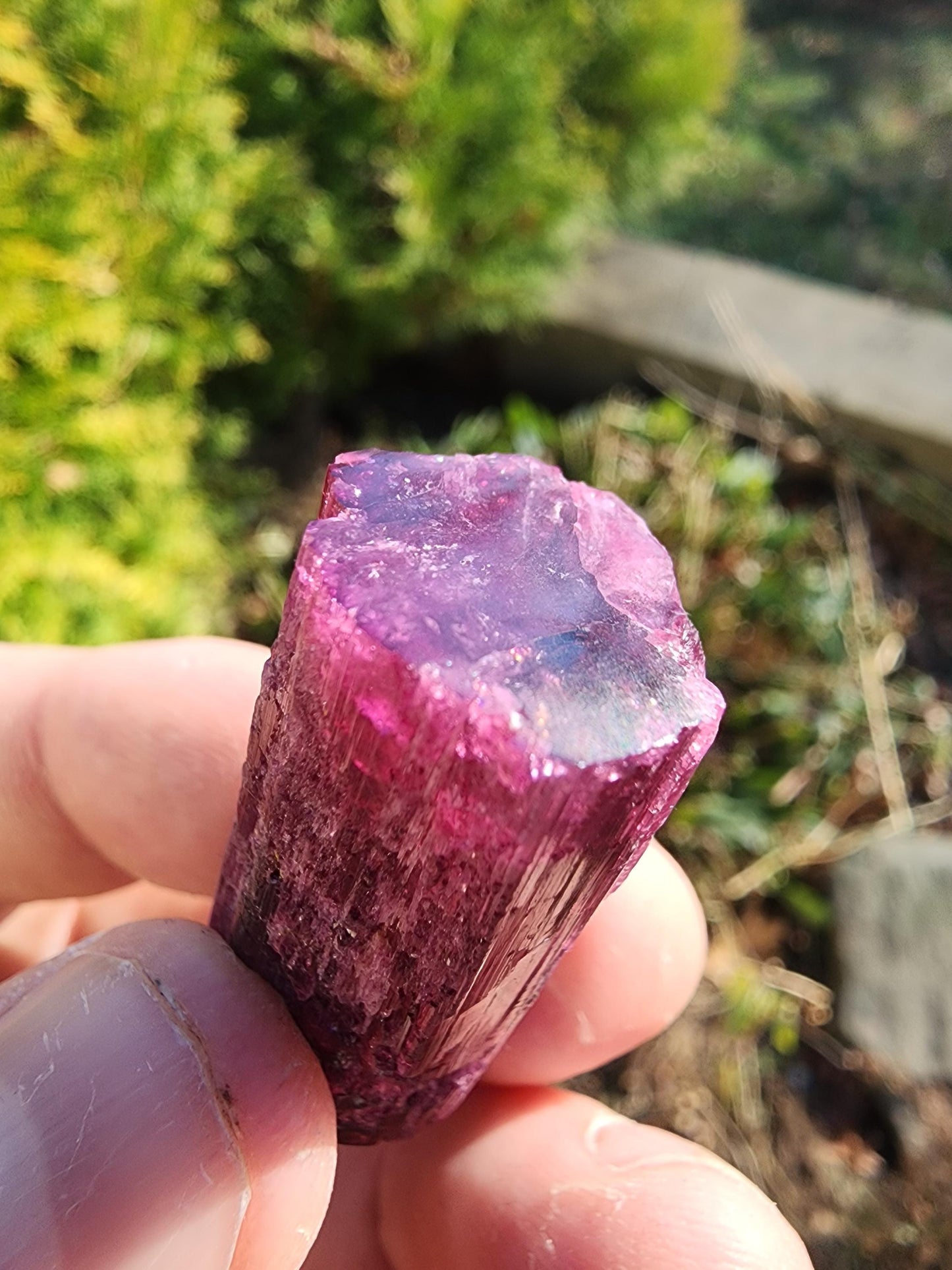 23 Grams Cruzerio Mine Rubellite Tourmaline Crystal from Brazil