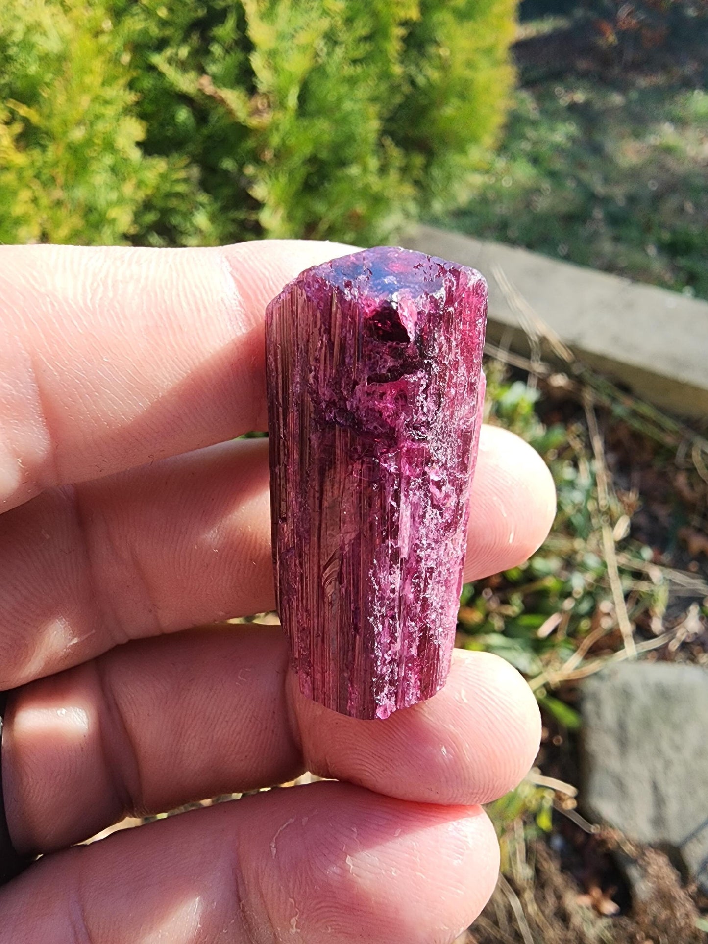 23 Grams Cruzerio Mine Rubellite Tourmaline Crystal from Brazil