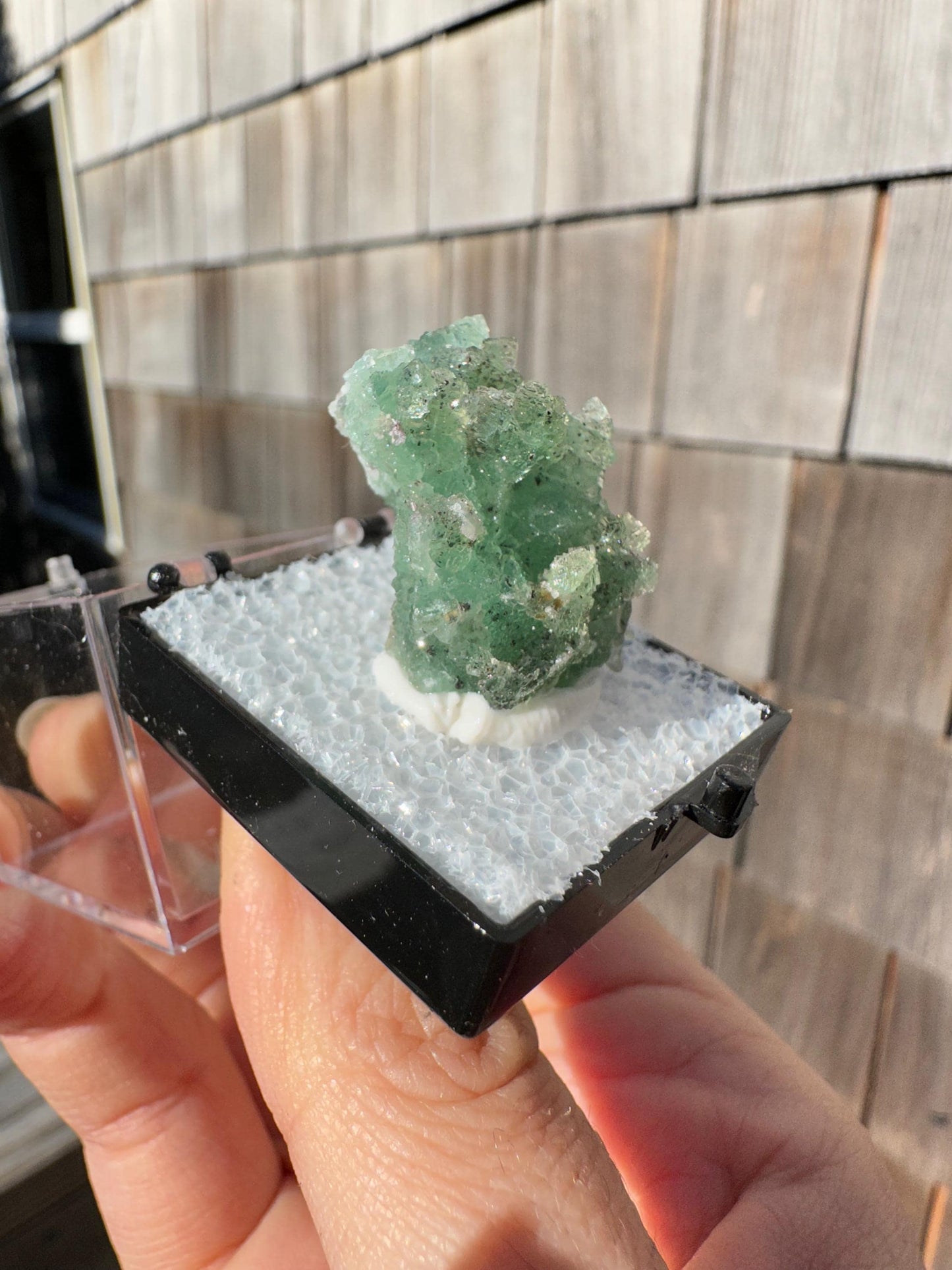 Unaweep Fluorite Crystal Cluster from Colorado