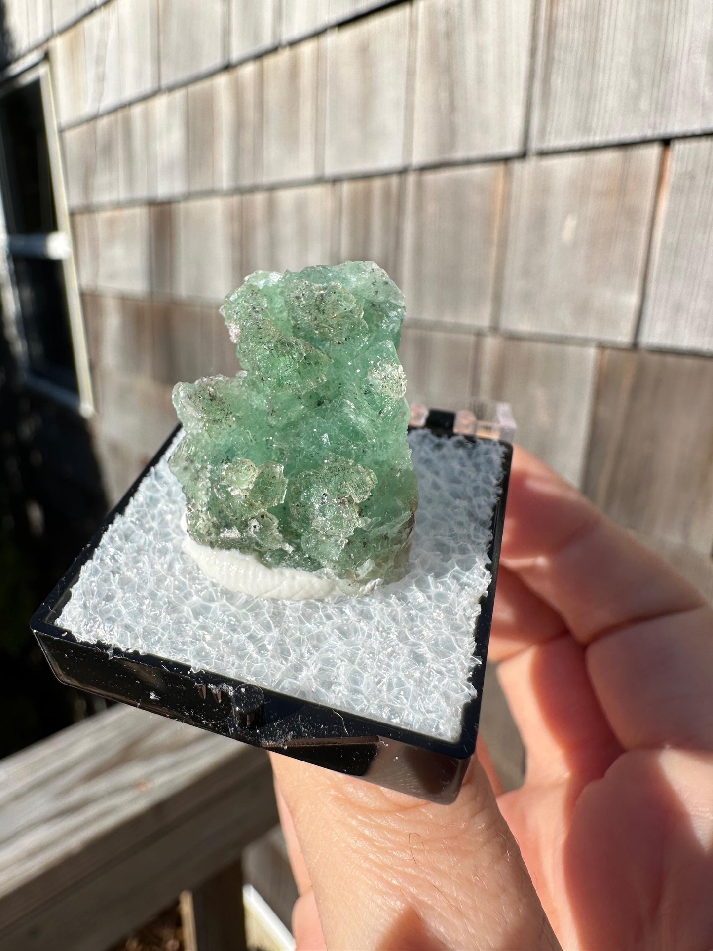 Unaweep Fluorite Crystal Cluster from Colorado