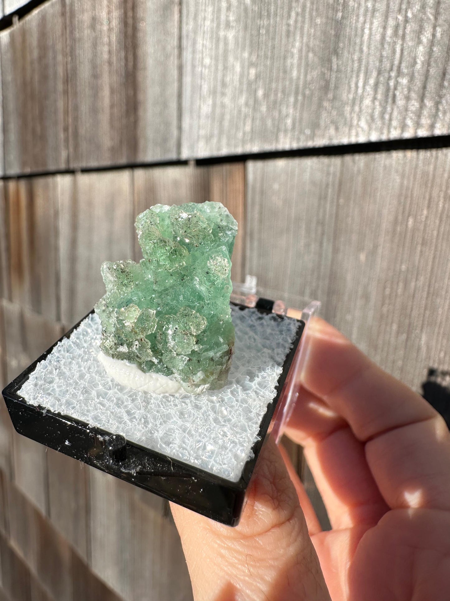 Unaweep Fluorite Crystal Cluster from Colorado