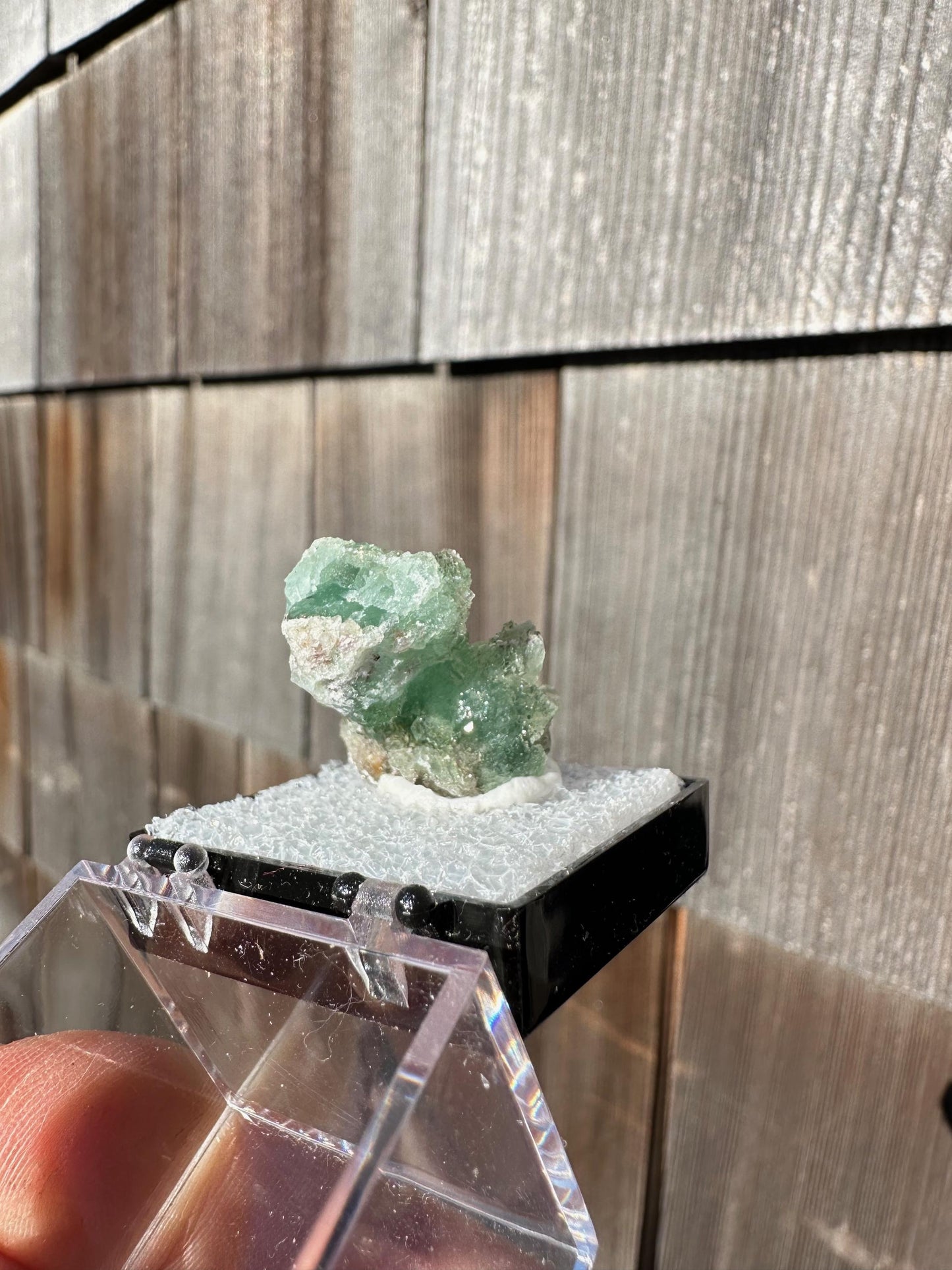 Unaweep Fluorite Crystal Cluster from Colorado