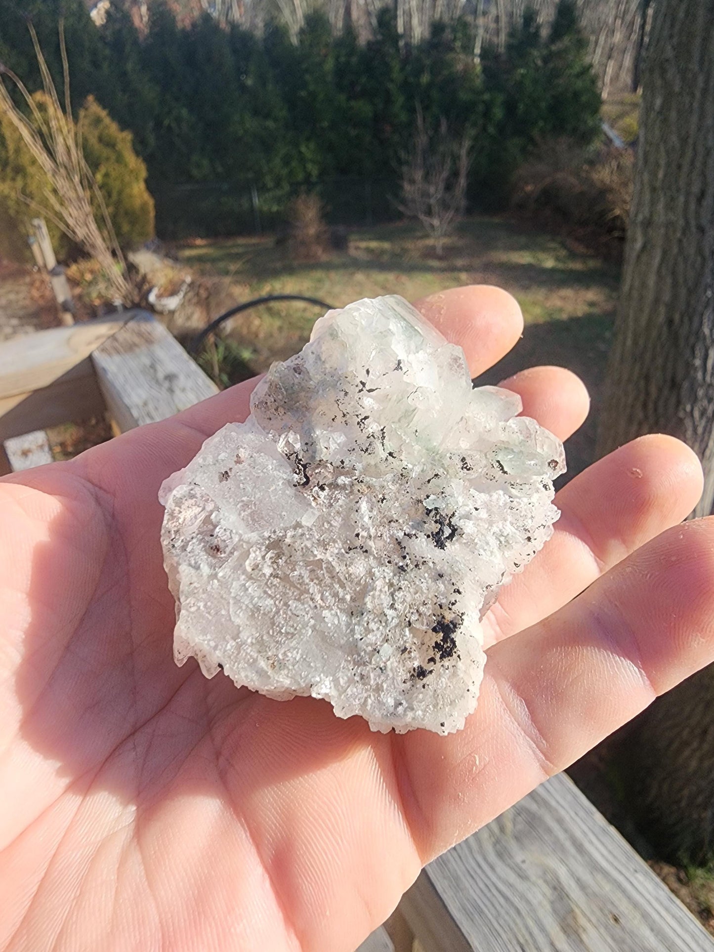 Himalayan Phantom Quartz Kullu Valley, India