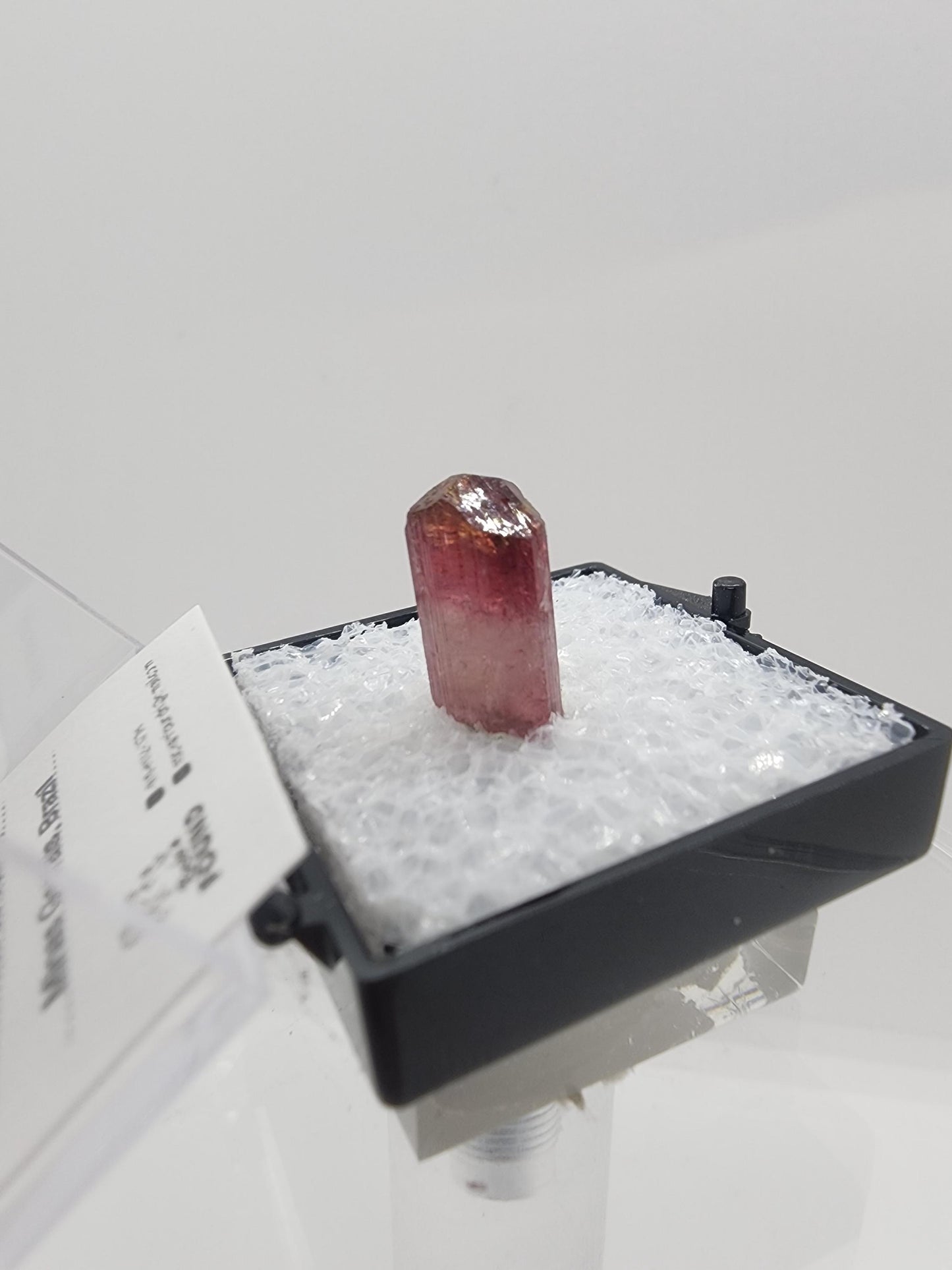 Cruzeiro 2024 Lipstick Tourmaline from Minas Gerais, Brazil