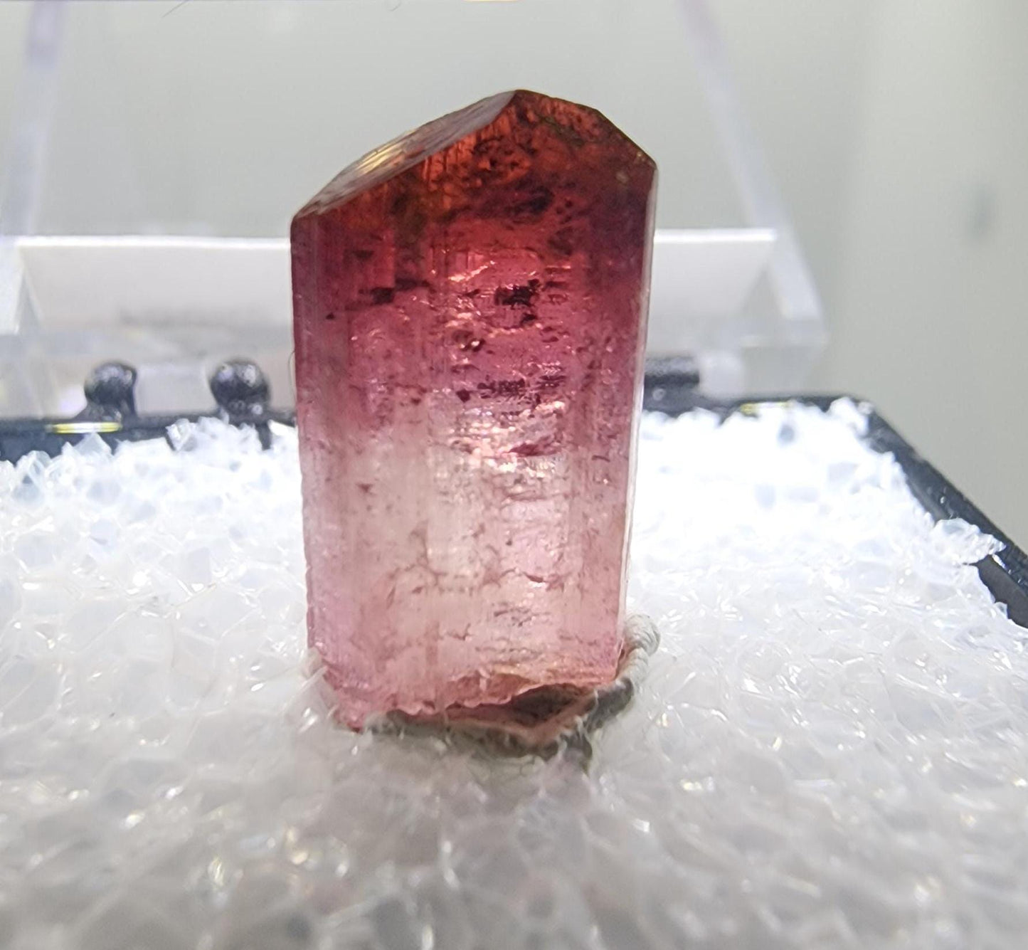 Cruzeiro 2024 Lipstick Tourmaline from Minas Gerais, Brazil