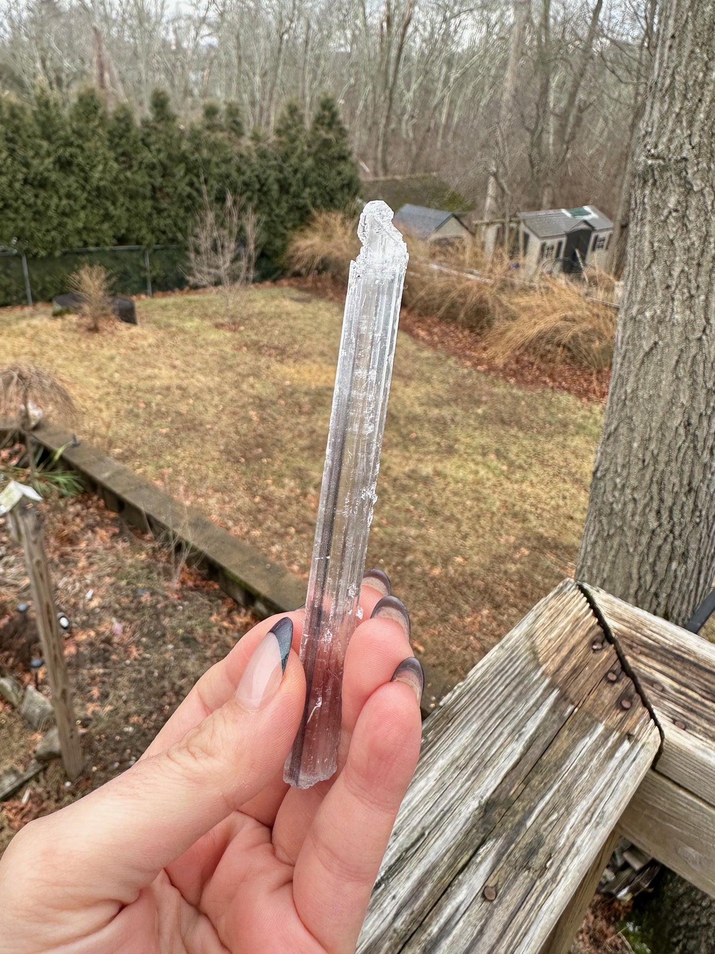 Stibnite Included Selenite Crystal from China