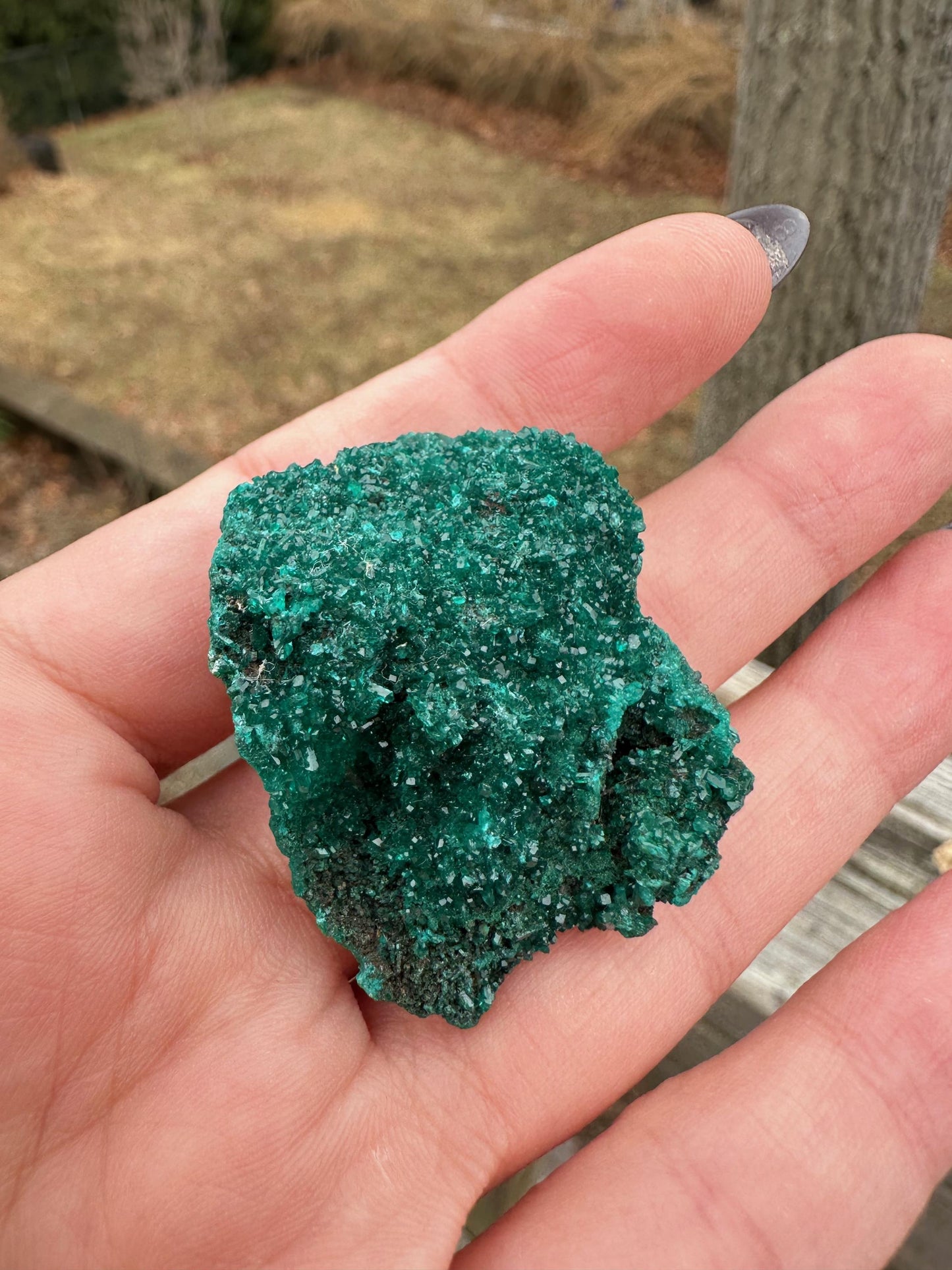 Dioptase Crystals from Congo