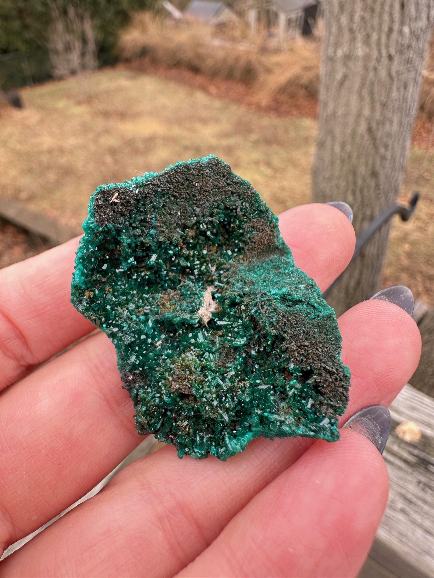 Dioptase Crystals from Congo