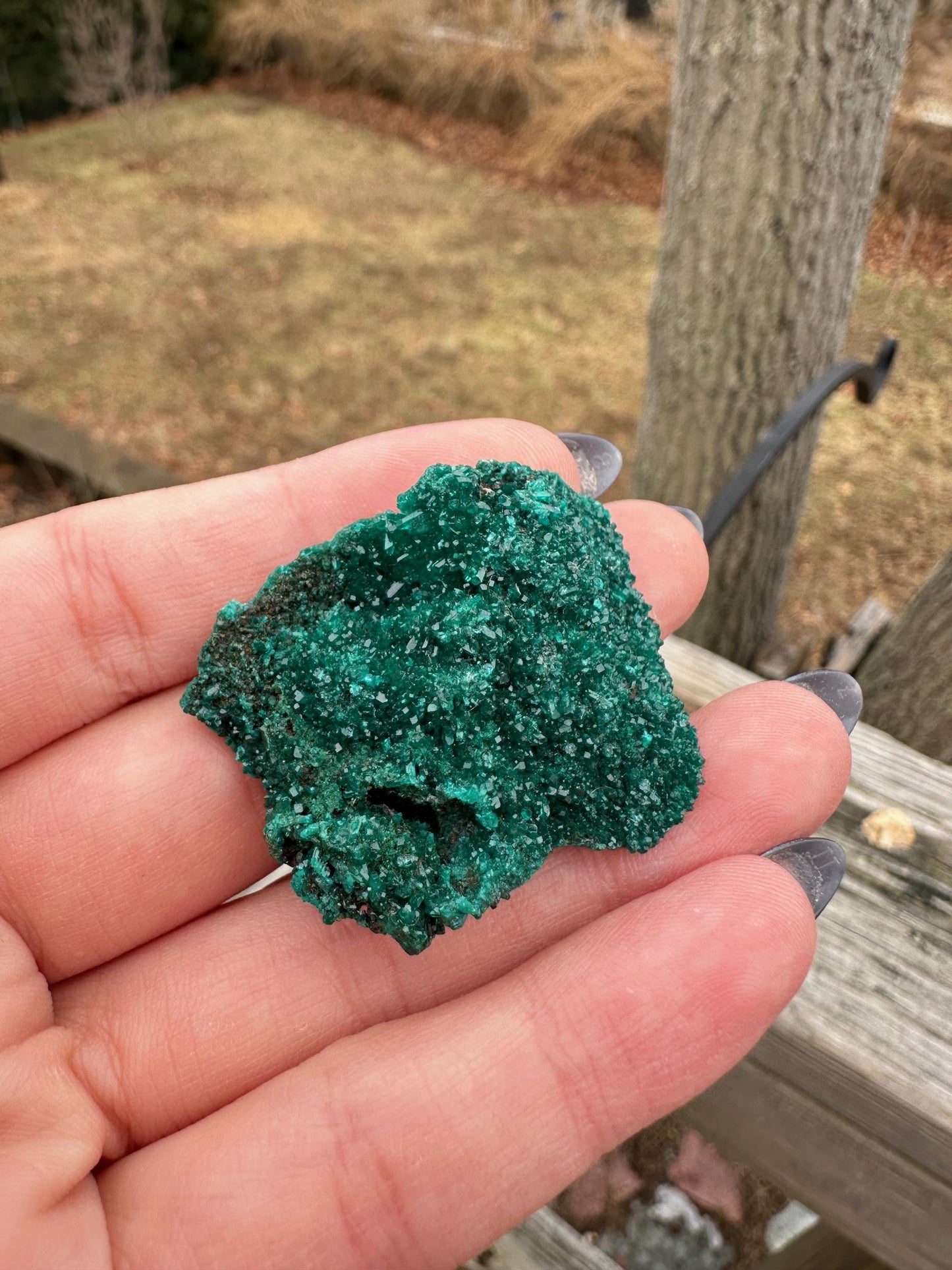 Dioptase Crystals from Congo