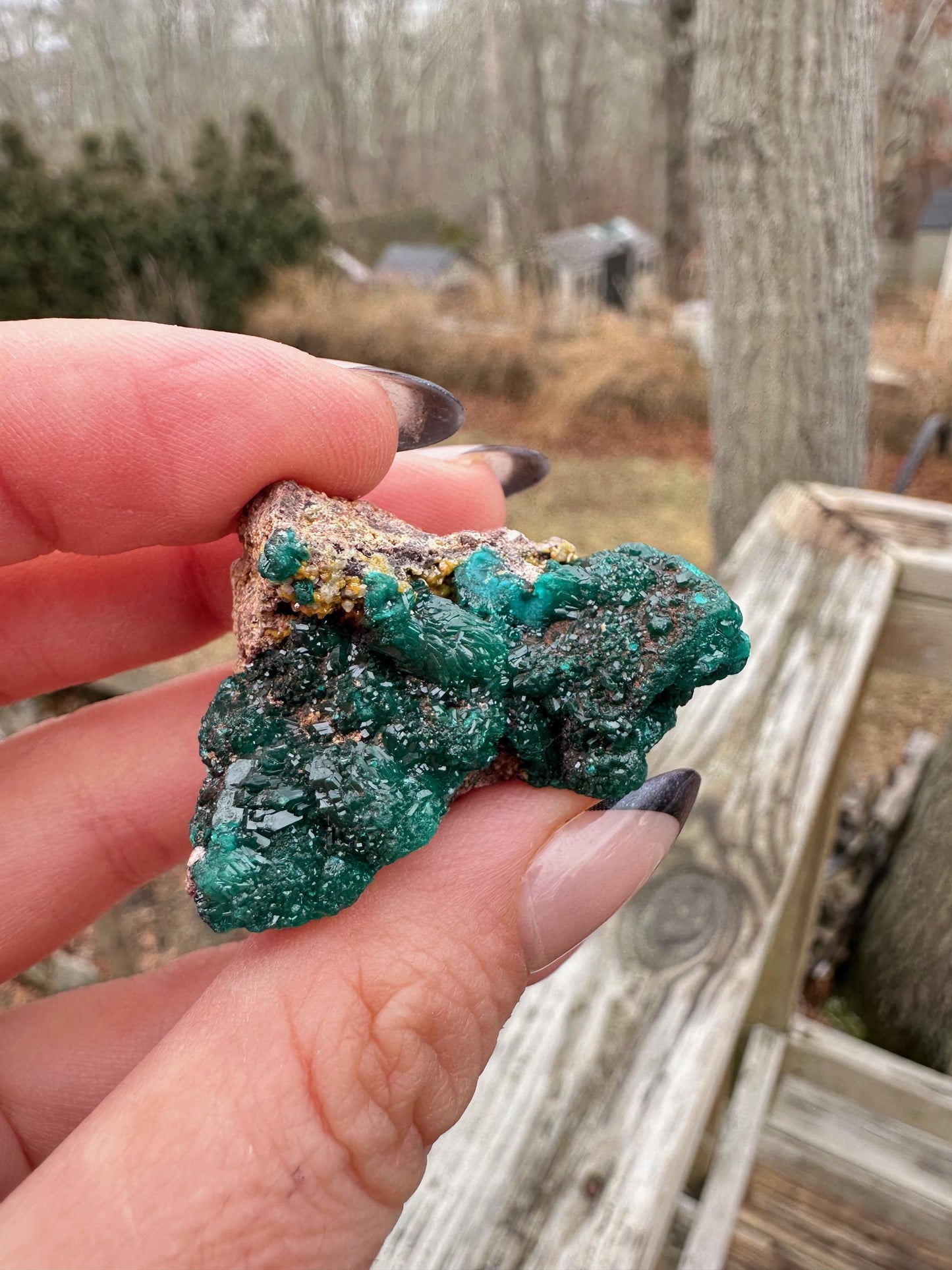 Dioptase with Mimetite from Congo