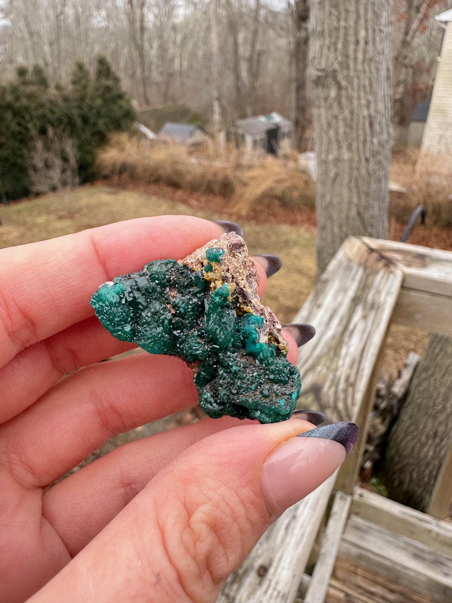 Dioptase with Mimetite from Congo