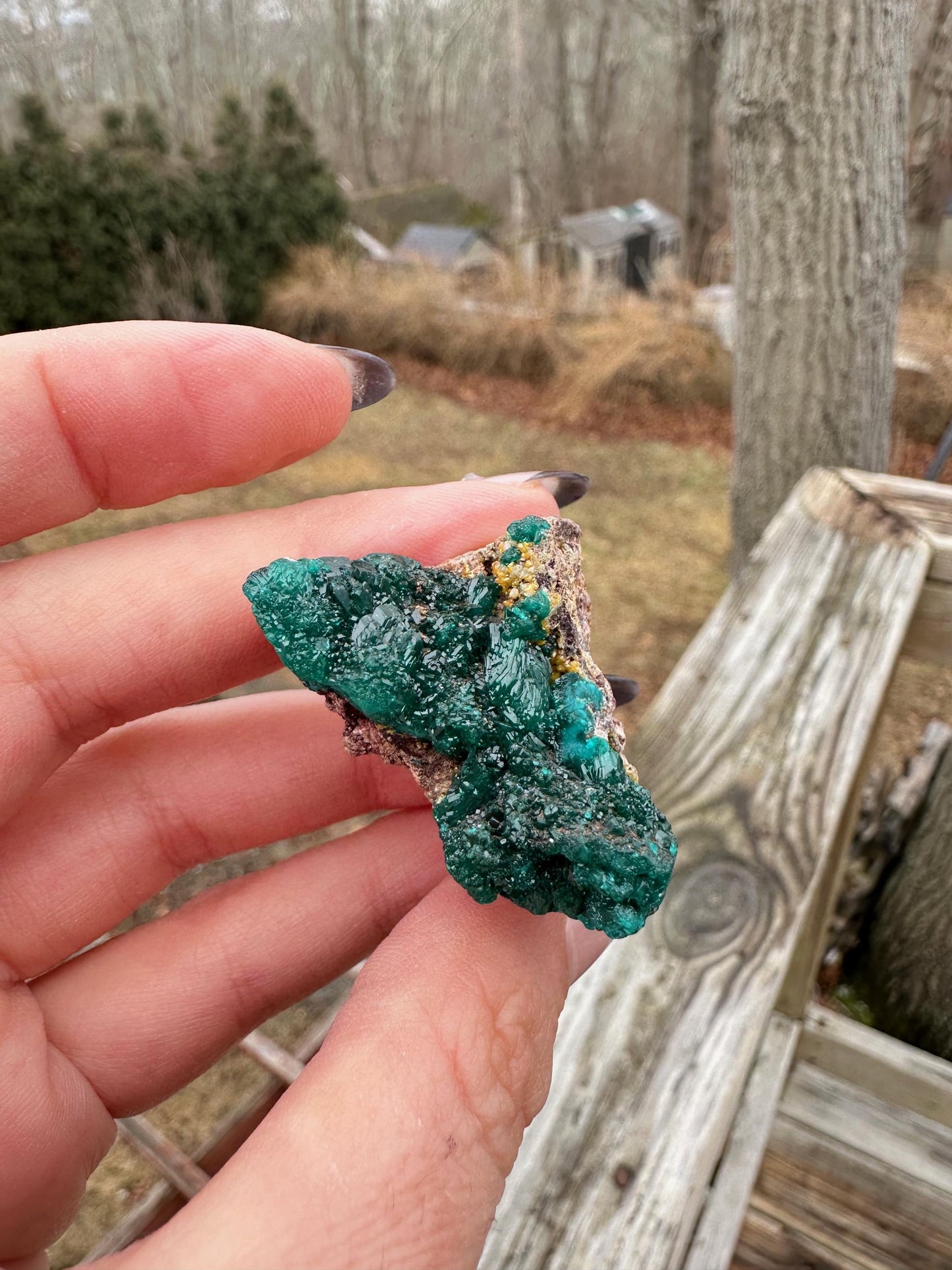 Dioptase with Mimetite from Congo