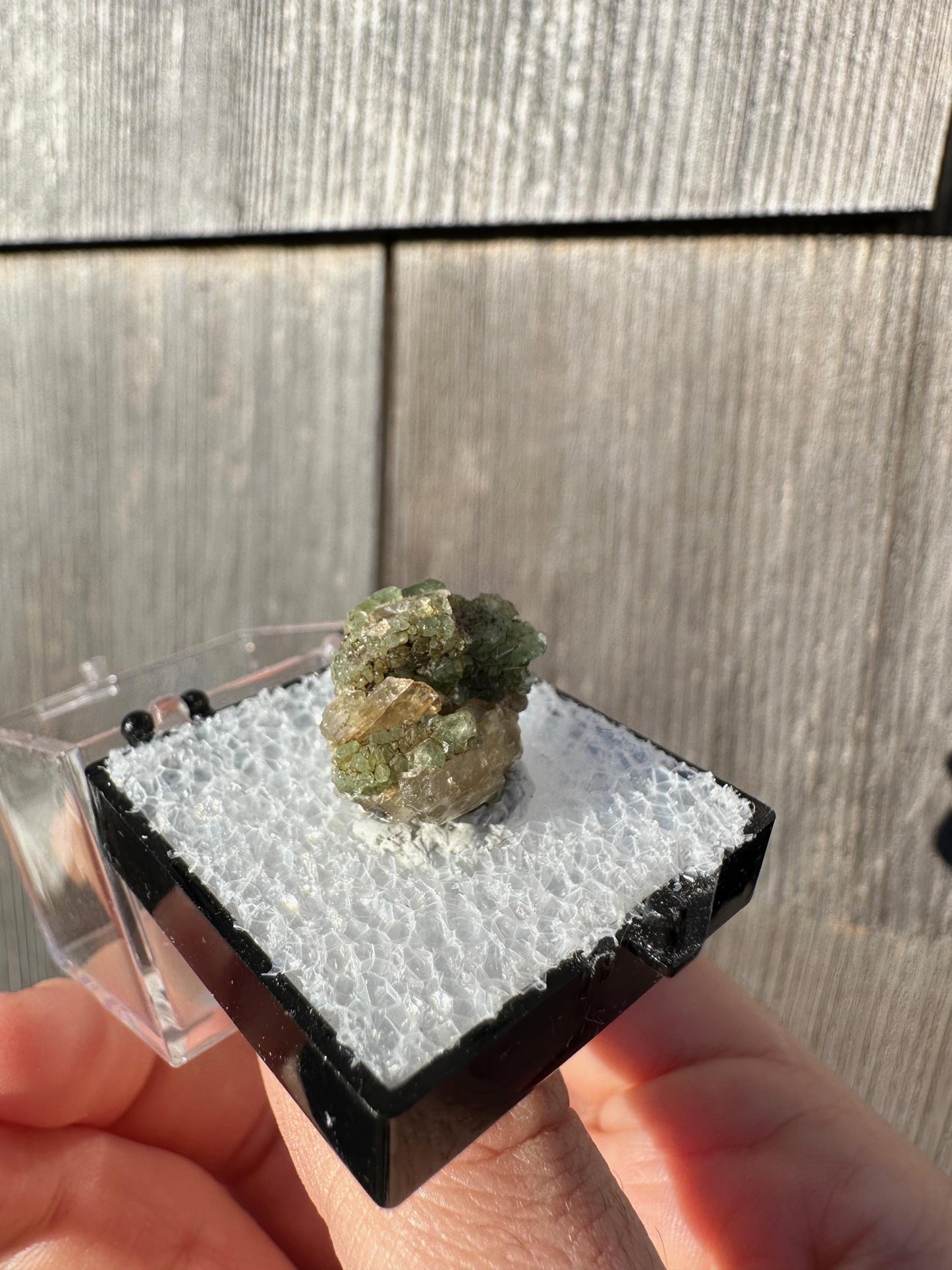 Diopside with Tsavorite Garnet Crystals from Tanzania