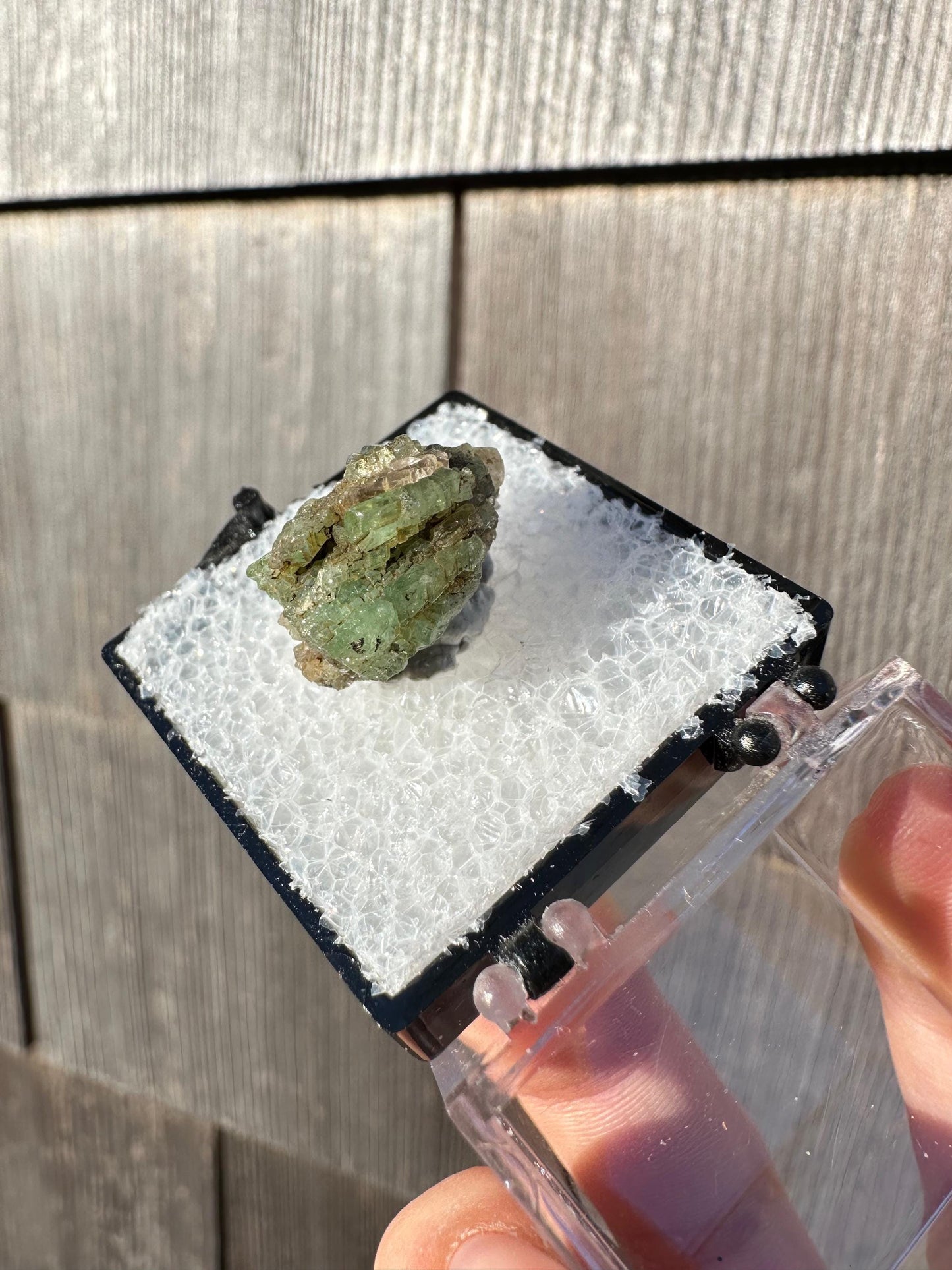 Diopside with Tsavorite Garnet Crystals from Tanzania