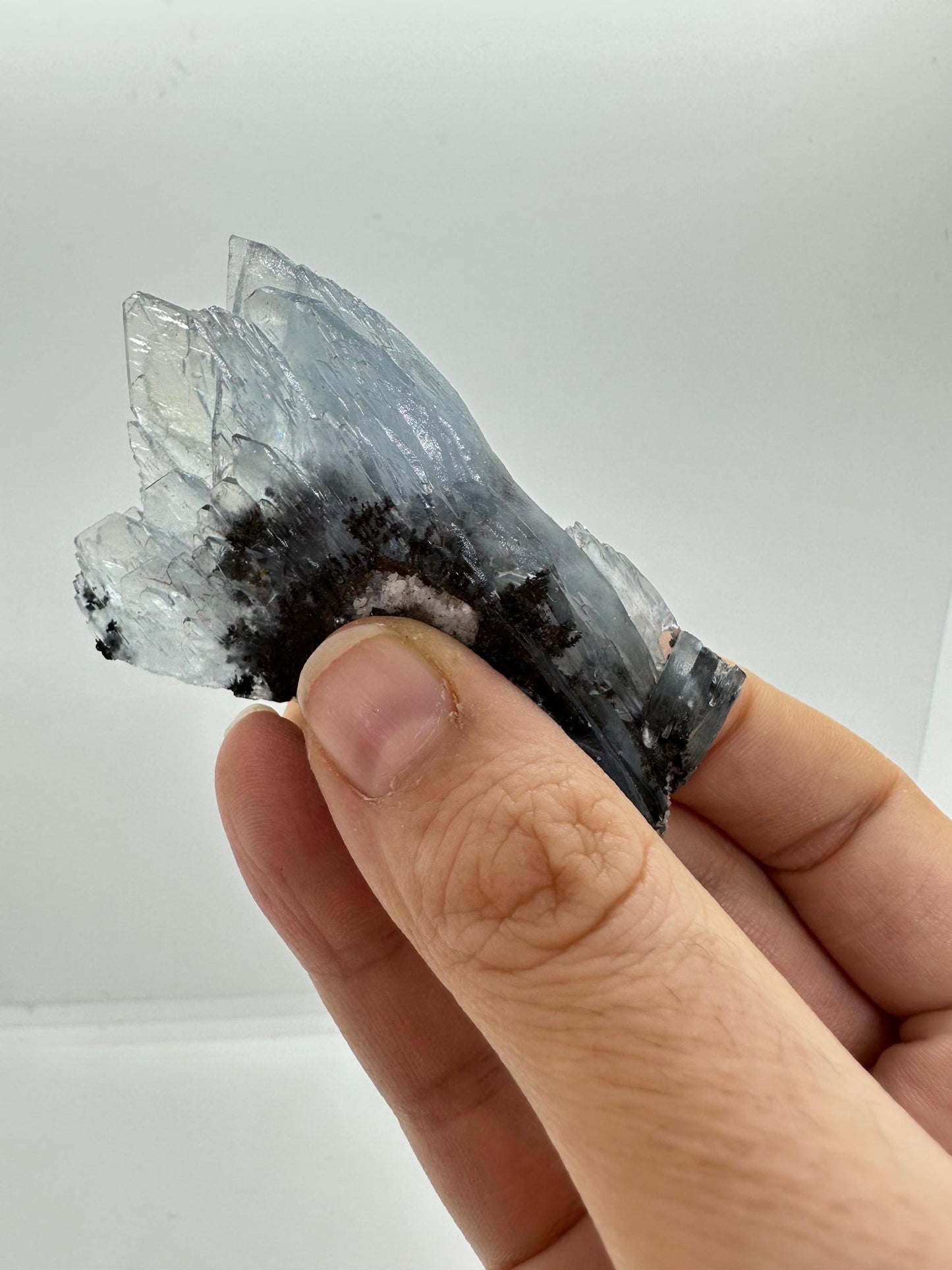 Blue Barite Cluster from Morocco