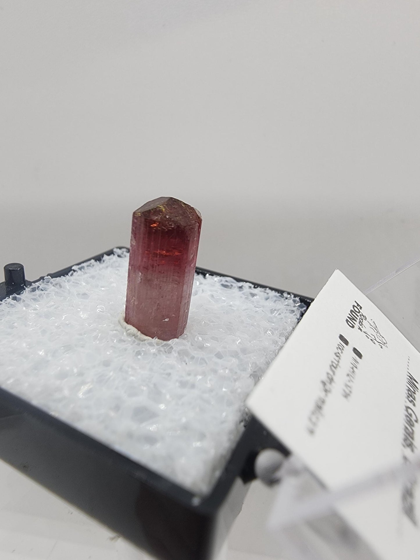 Cruzeiro 2024 Lipstick Tourmaline from Minas Gerais, Brazil