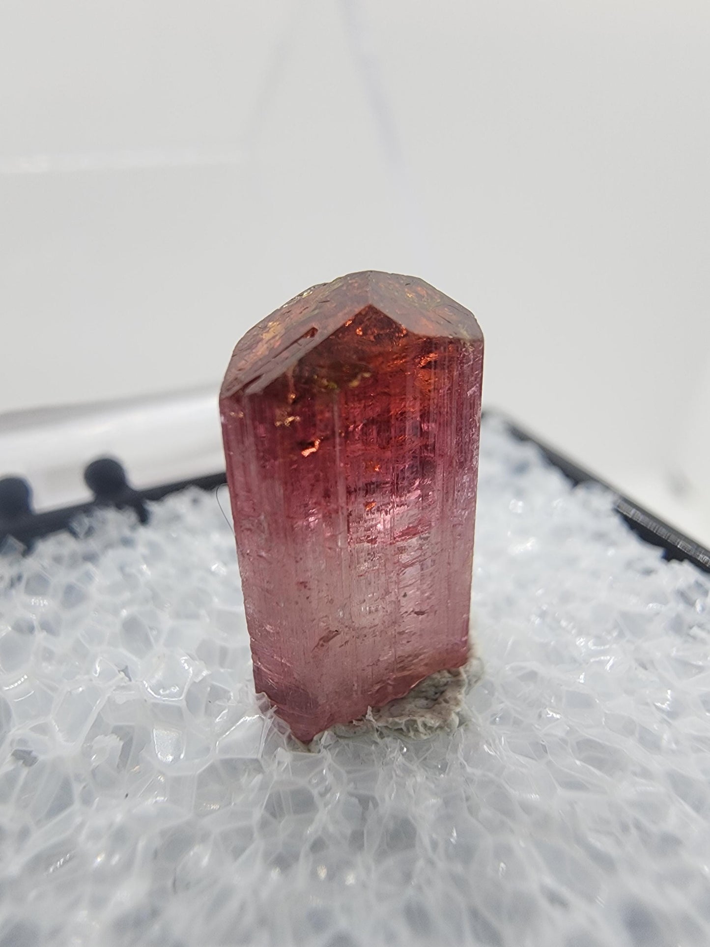 Cruzeiro 2024 Lipstick Tourmaline from Minas Gerais, Brazil