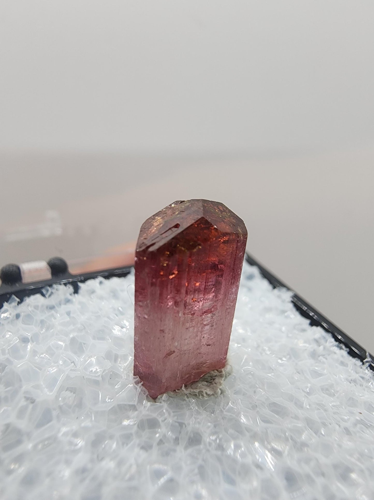 Cruzeiro 2024 Lipstick Tourmaline from Minas Gerais, Brazil