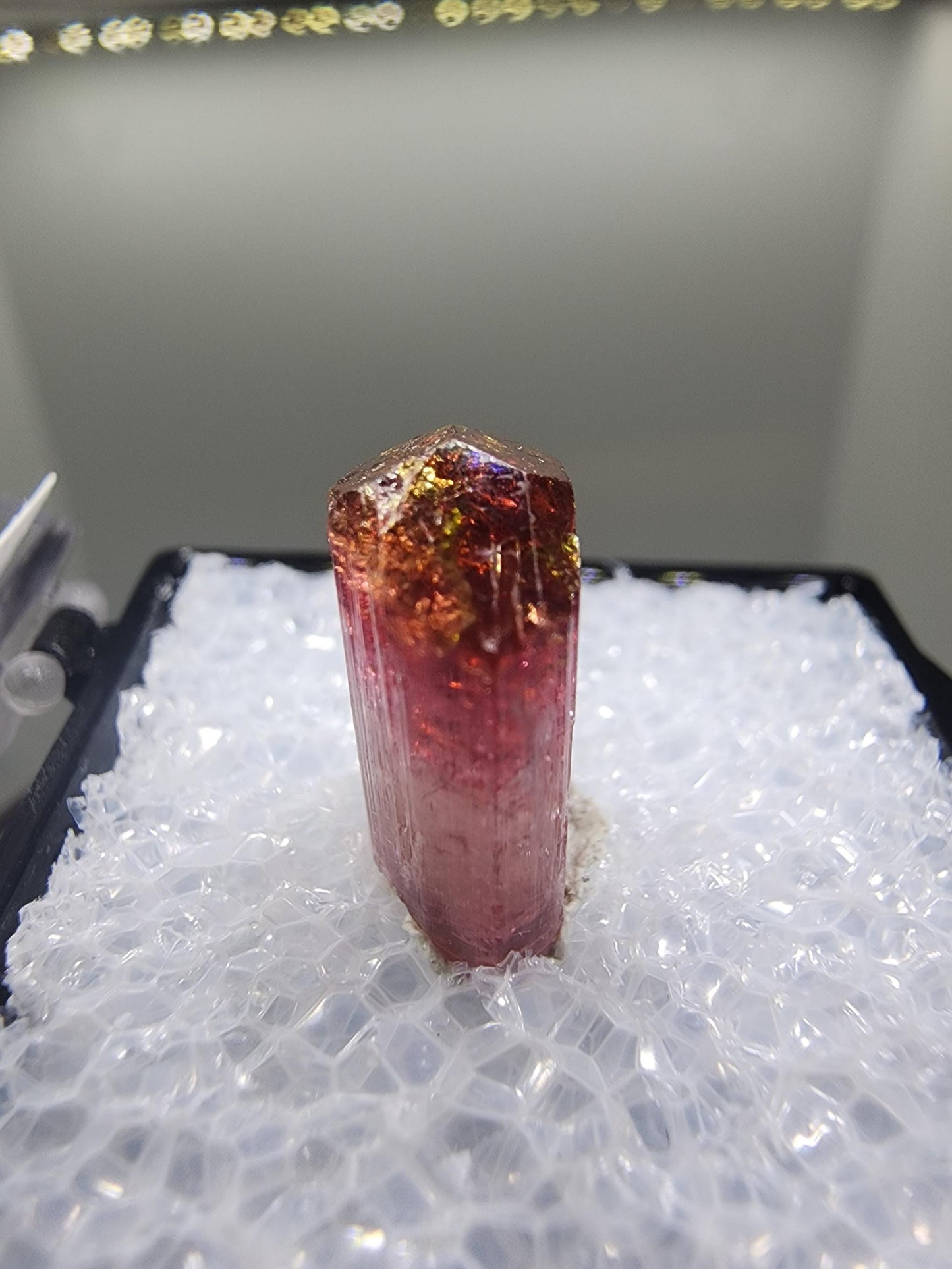 Cruzeiro 2024 Lipstick Tourmaline from Minas Gerais, Brazil